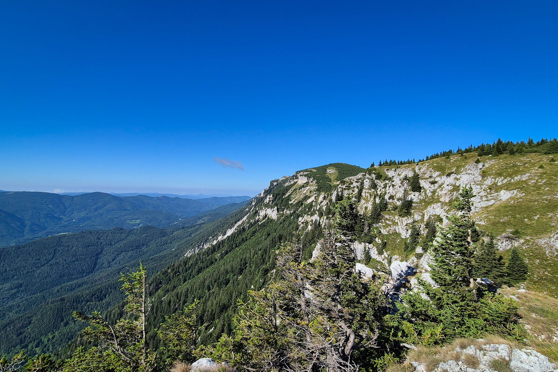 Vom Berggasthof am Weg zurück Richtung Törlweg im frühen Sonnenschein. Foto: Linda Prähauser