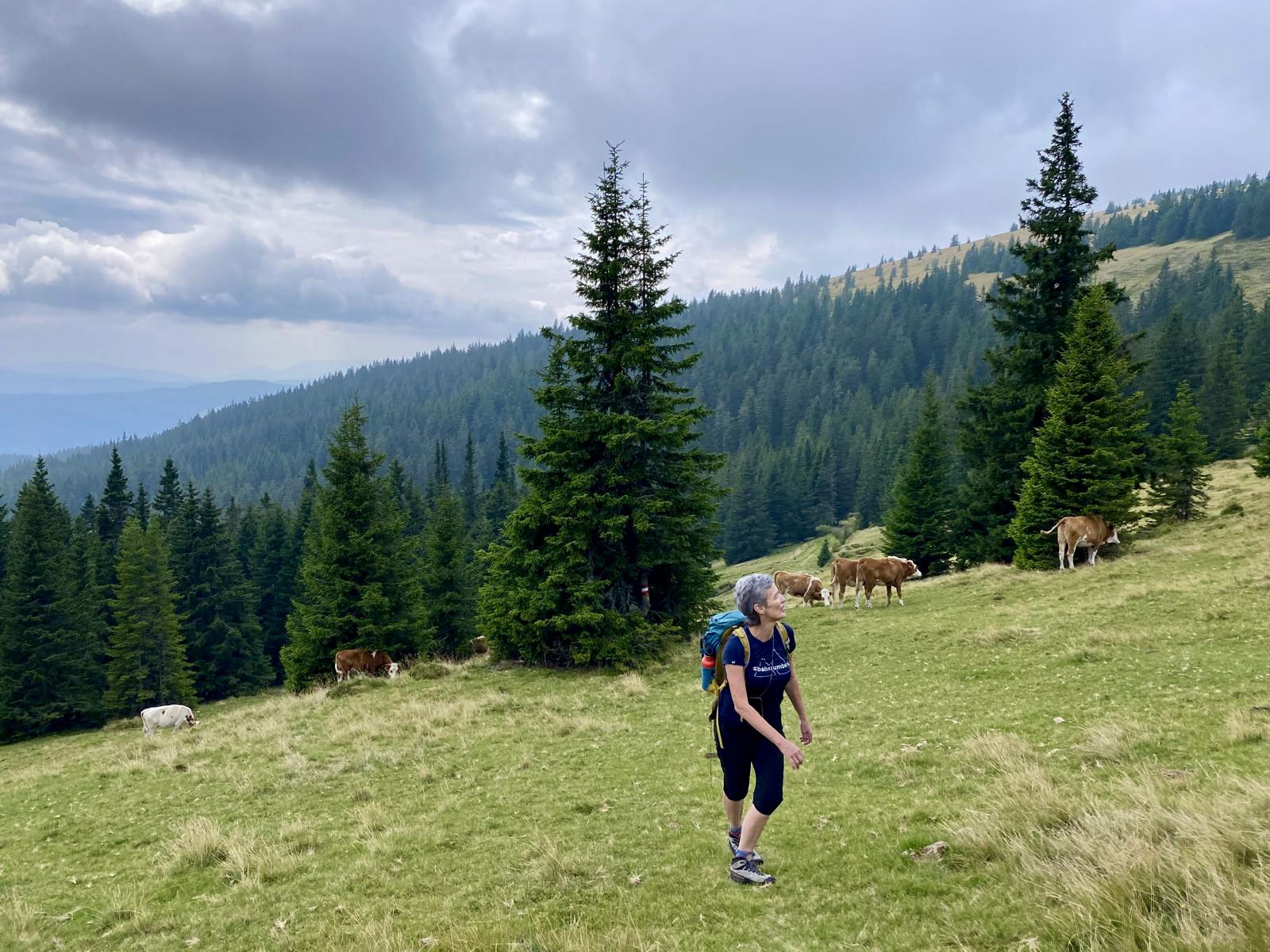 Gleich oben am Stuhleck. Foto Peter Backé
