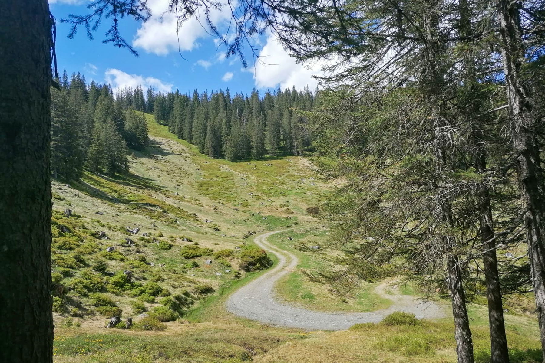 Es geht hinab. Foto: Sarah Pallauf