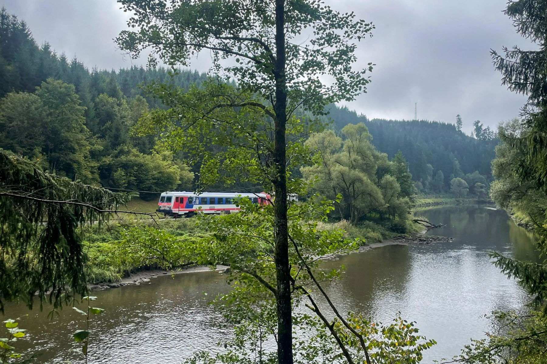 Zug entlang der Großen Mühl. Foto: Ursula Truebswasser