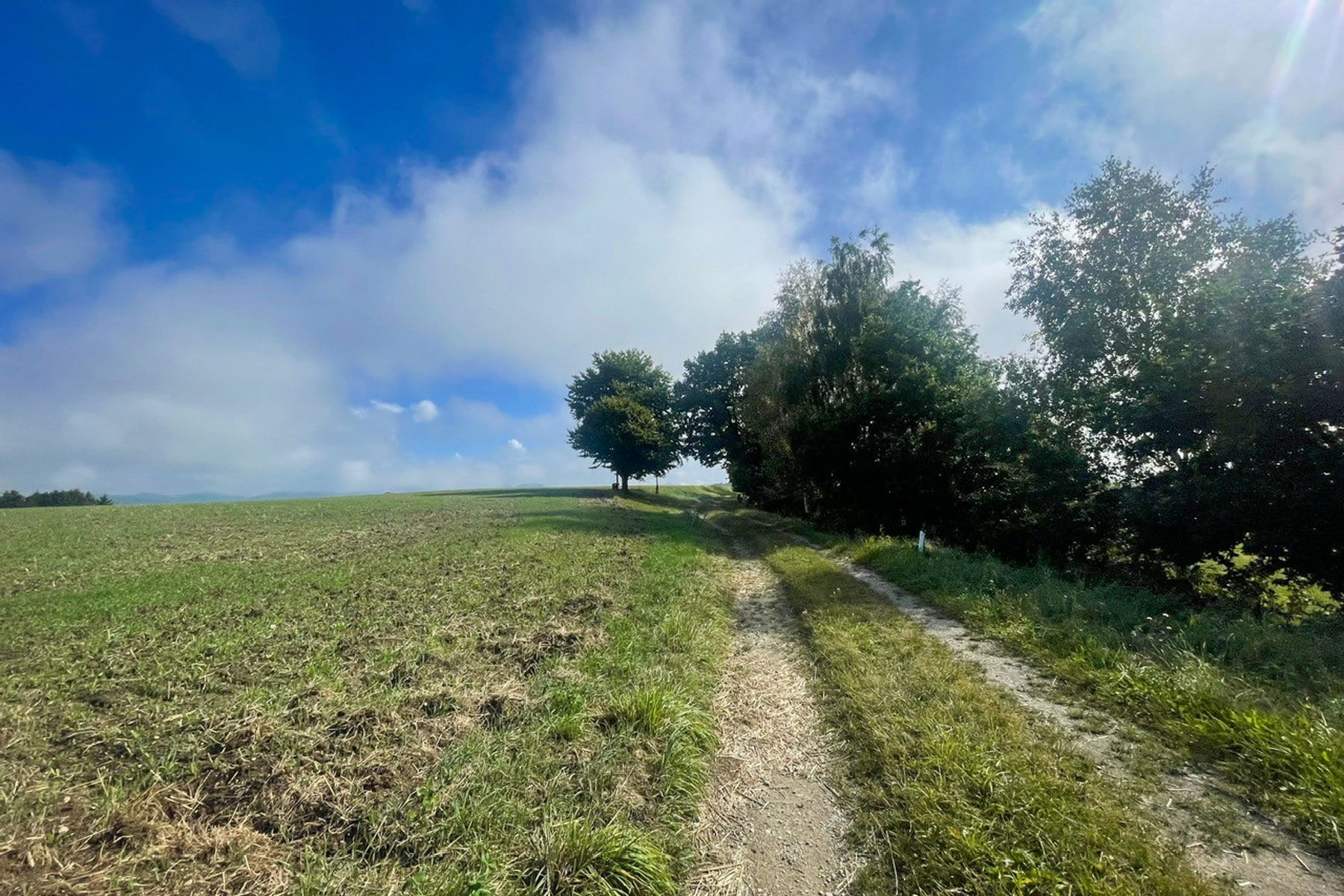 Feldweg nach Pürnstein. Foto: Ursula Truebswasser