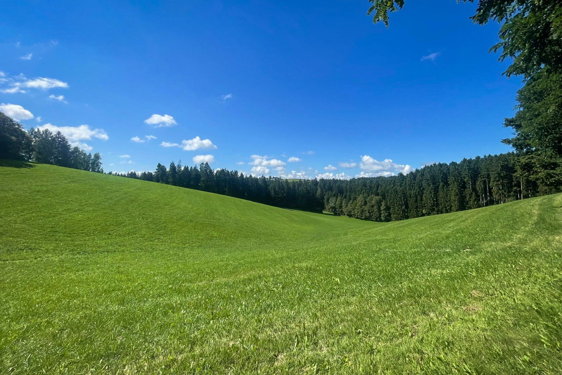 Endlose Wiesen vor St. Peter. Foto: Ursula Truebswasser