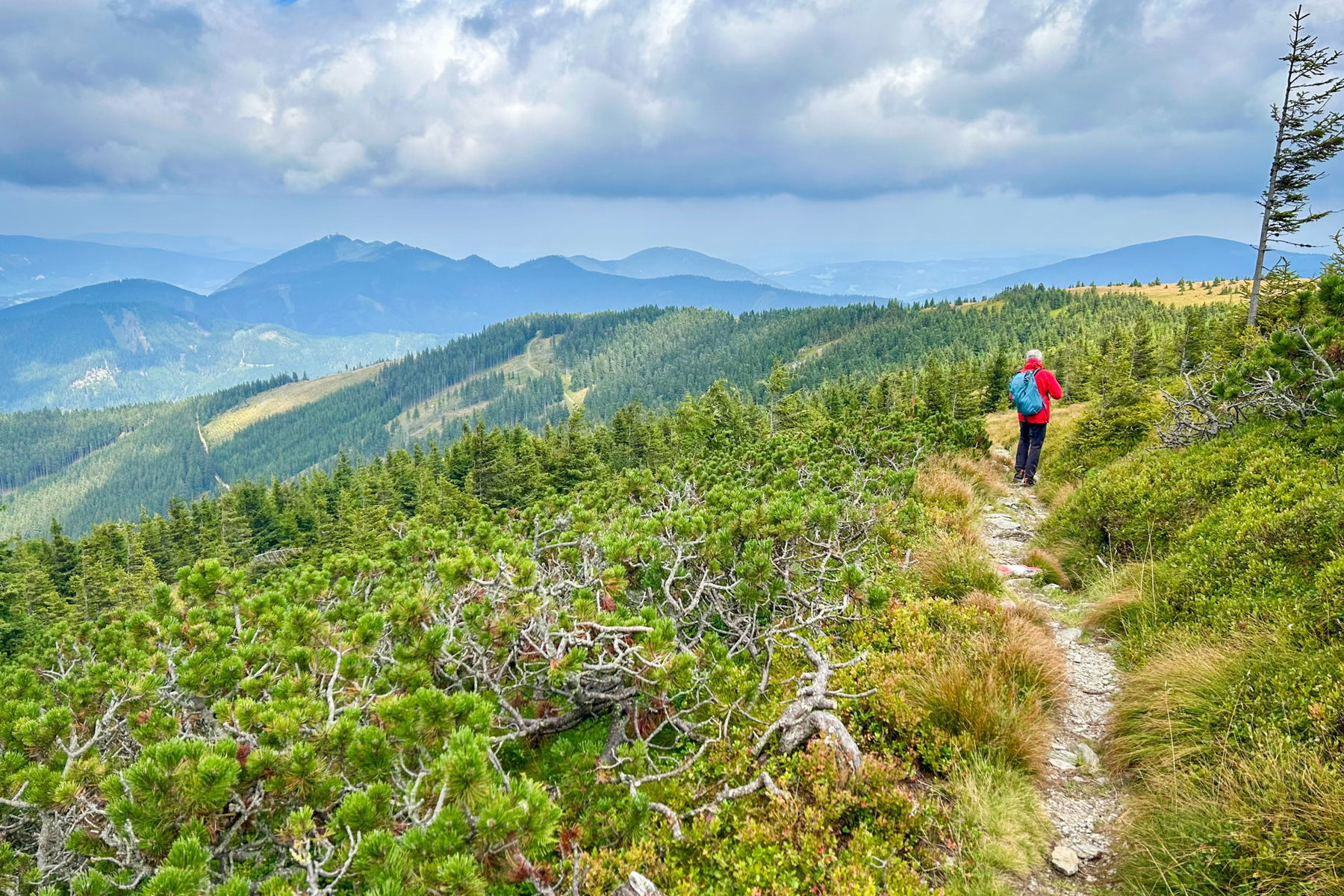 Am Stuhleck. Foto Veronika Schöll