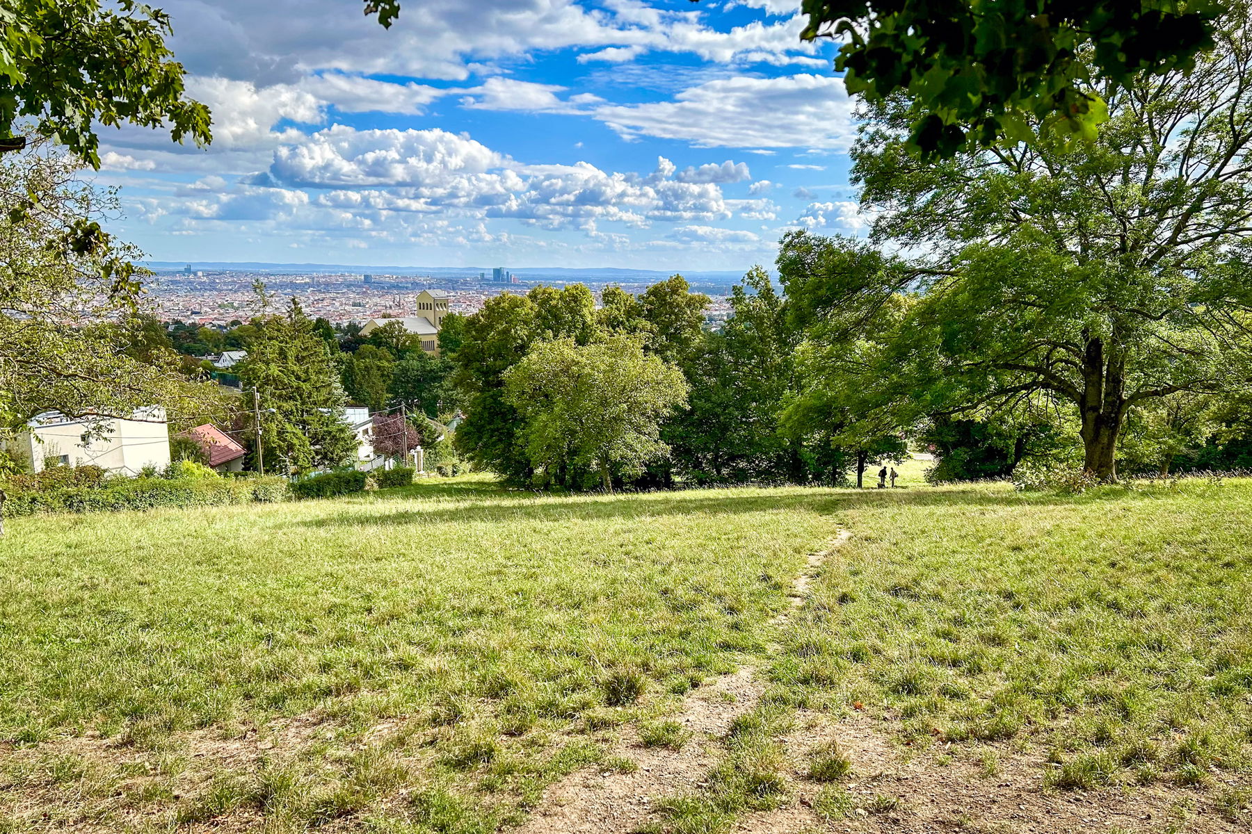 Kreuzwiese am Schafberg in Wien.