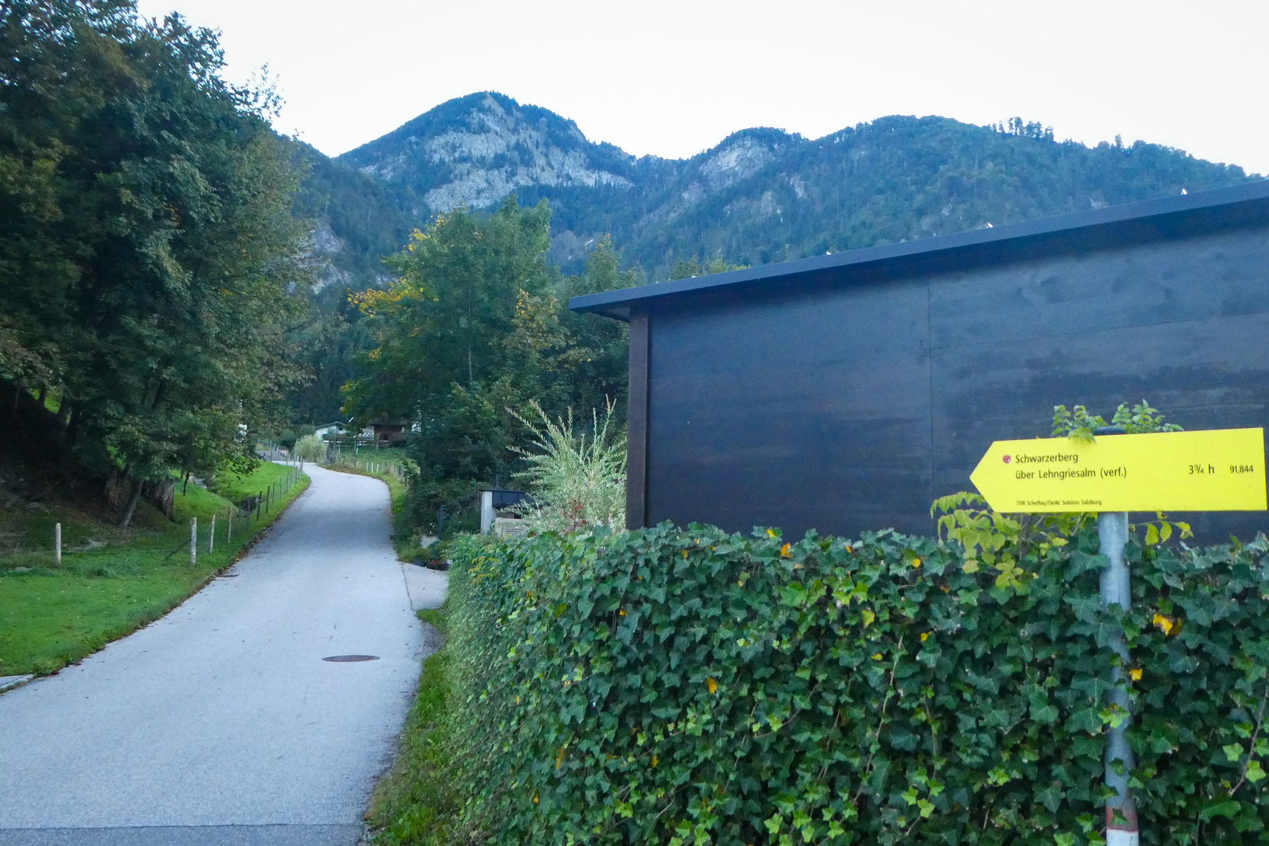 Gleich gegenüber der Haltestelle ist das Wohin und das Wie klar. Foto: Karl Plohovich