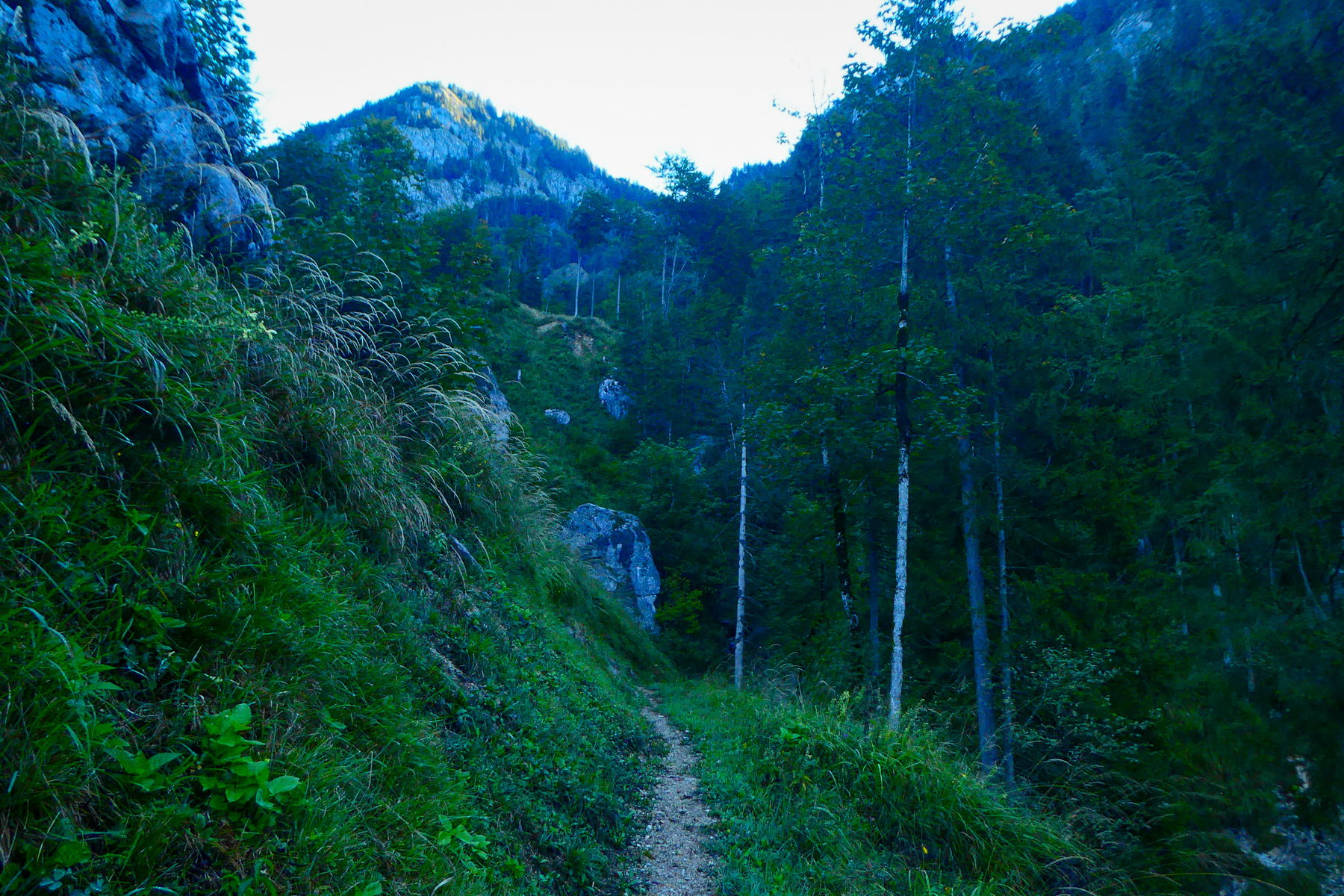Die Augen zum Gipfel, die Ohren hören flüssiges Gemurmel. Foto: Karl Plohovich