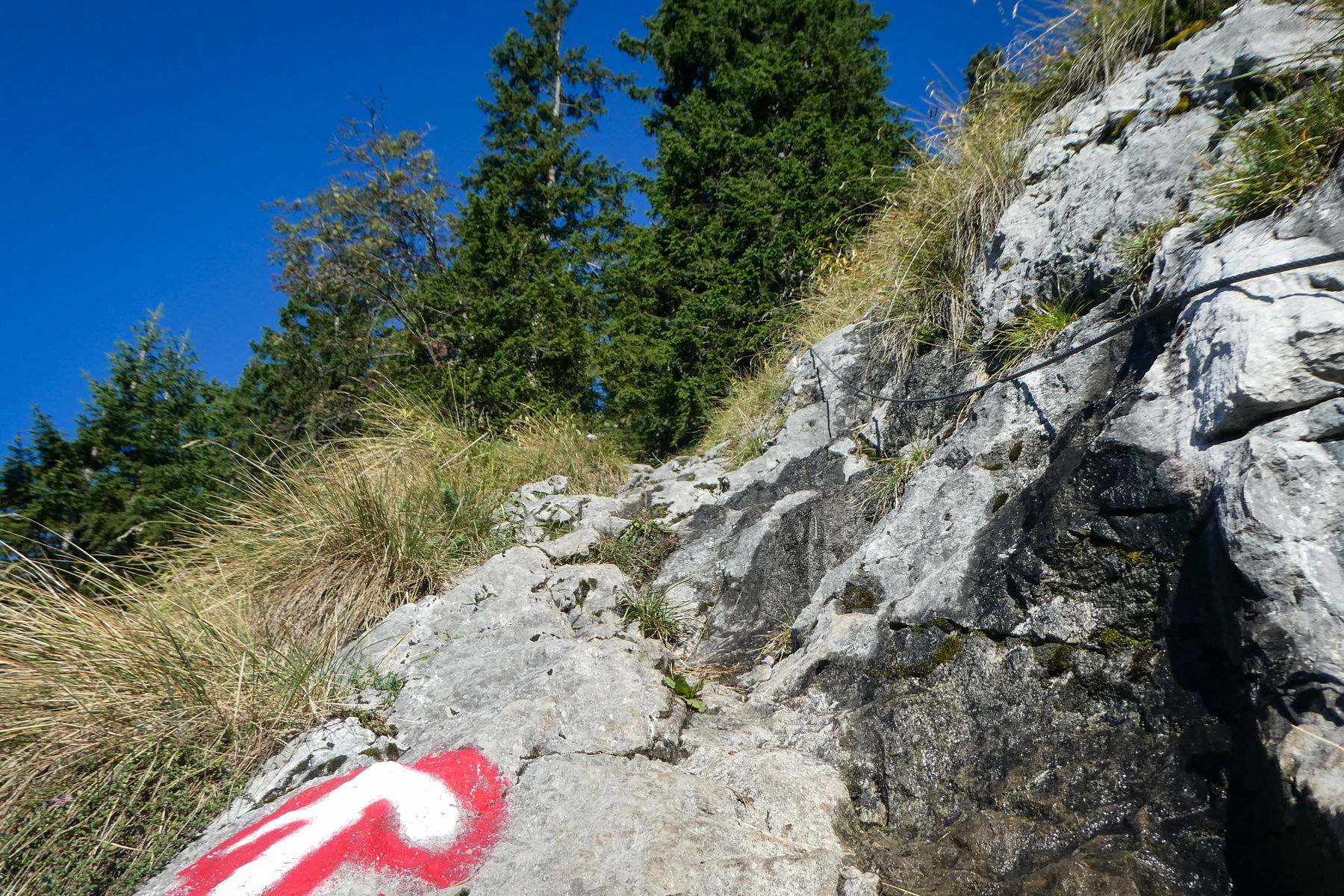 Schlüsselstelle - mit Seilsicherung. Foto: Karl Plohovich