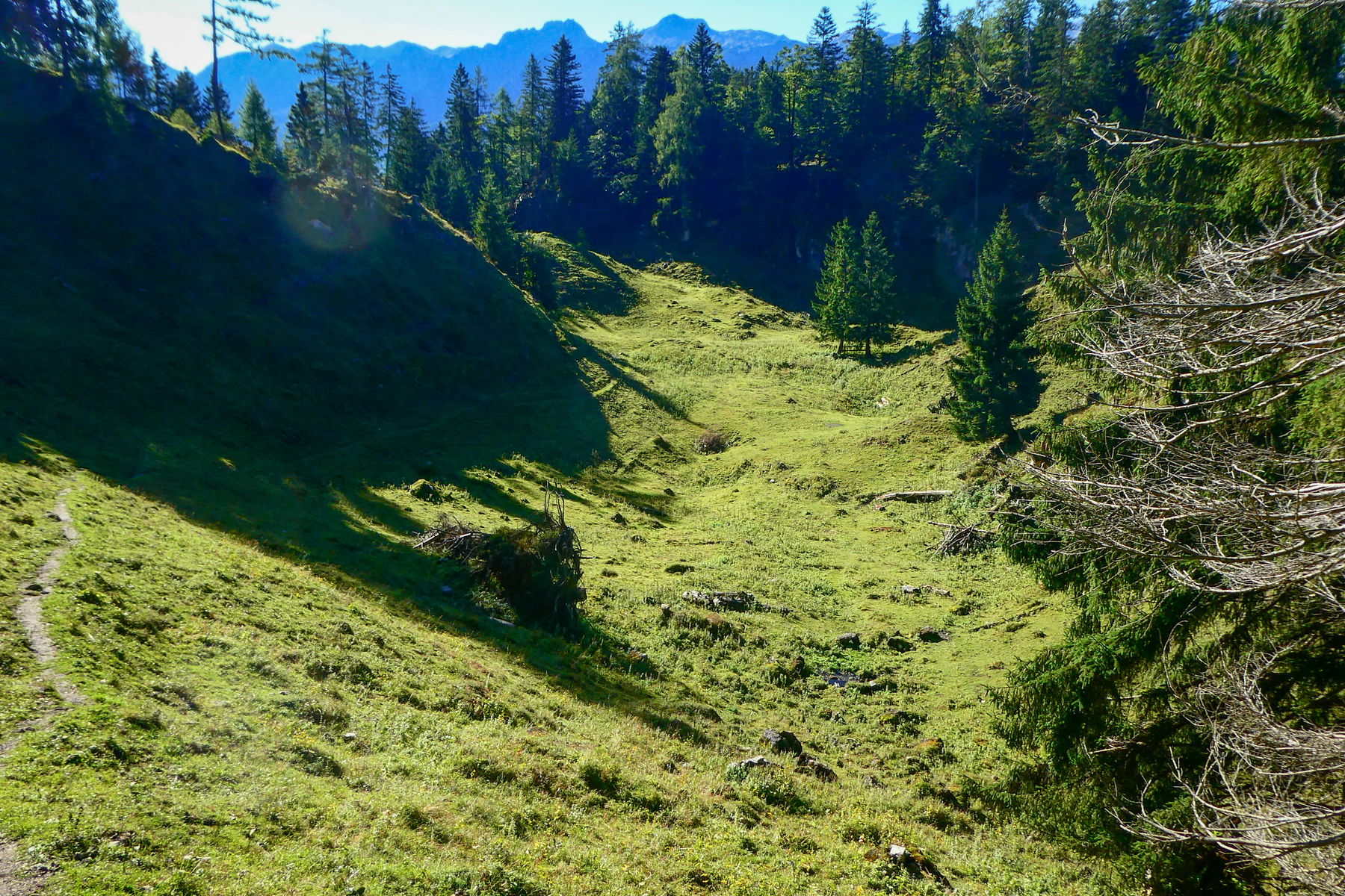 Die Lehngrießalm-Doline – ein Ort der Geborgenheit. Foto: Karl Plohovich