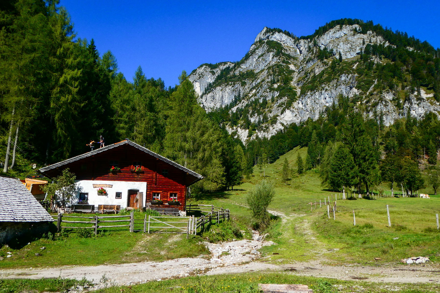 Wallingalm wird neu eingedeckt – Parklandschaft mit Gschirrwand. Foto: Karl Plohovich