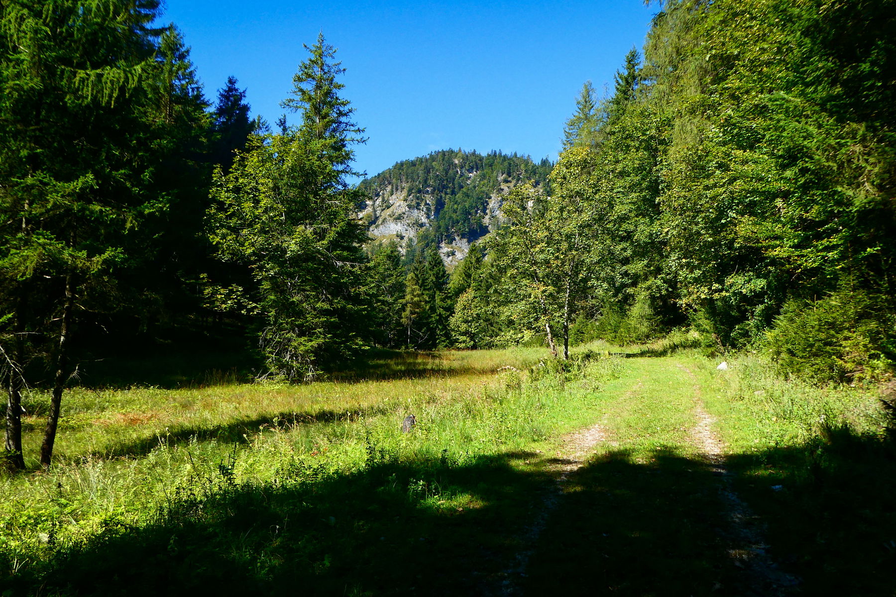 Die Wiesen der verborgenen Rabensteinalm. Foto: Karl Plohovich