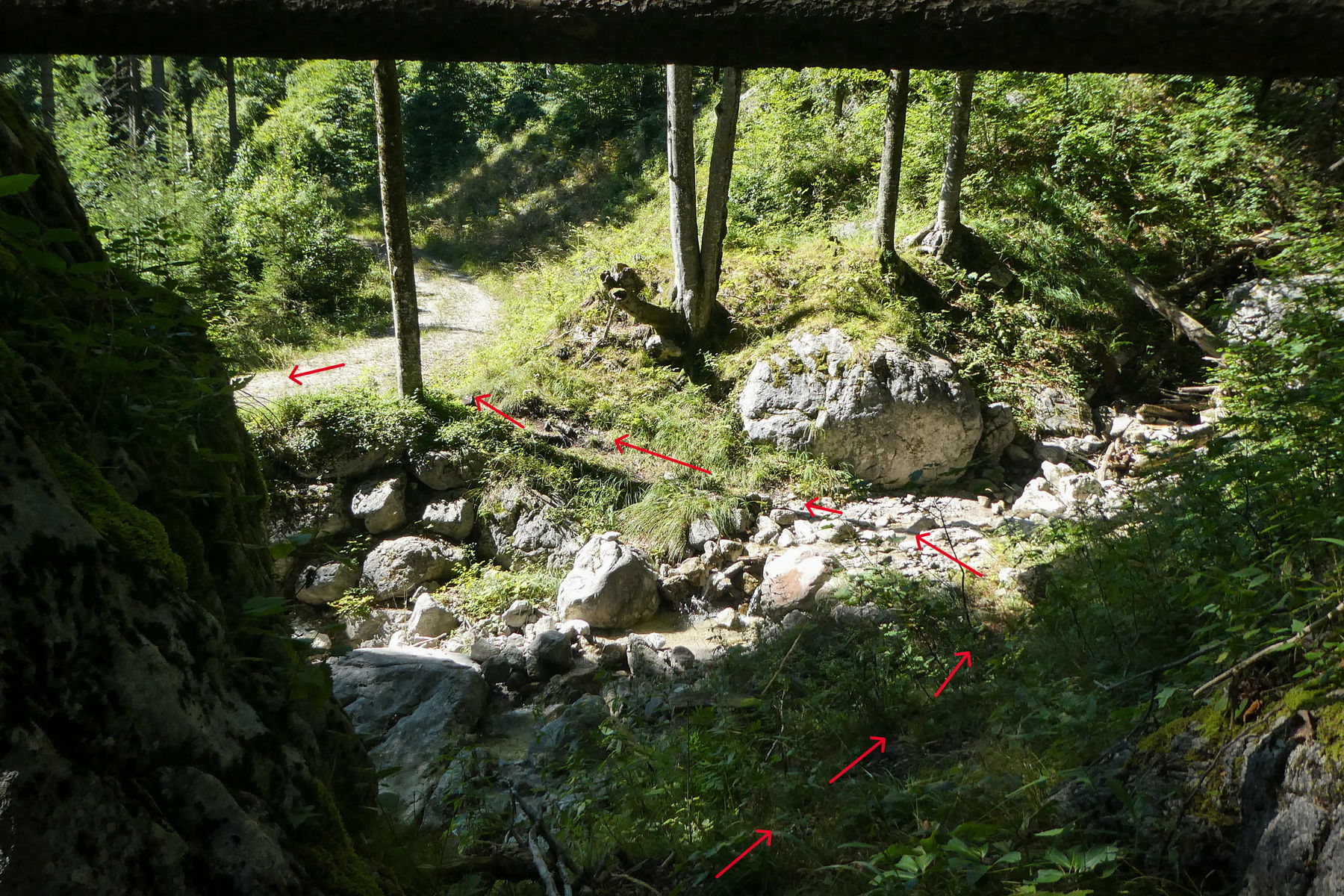 Die wenigen Meter des Überstiegs. Foto: Karl Plohovich