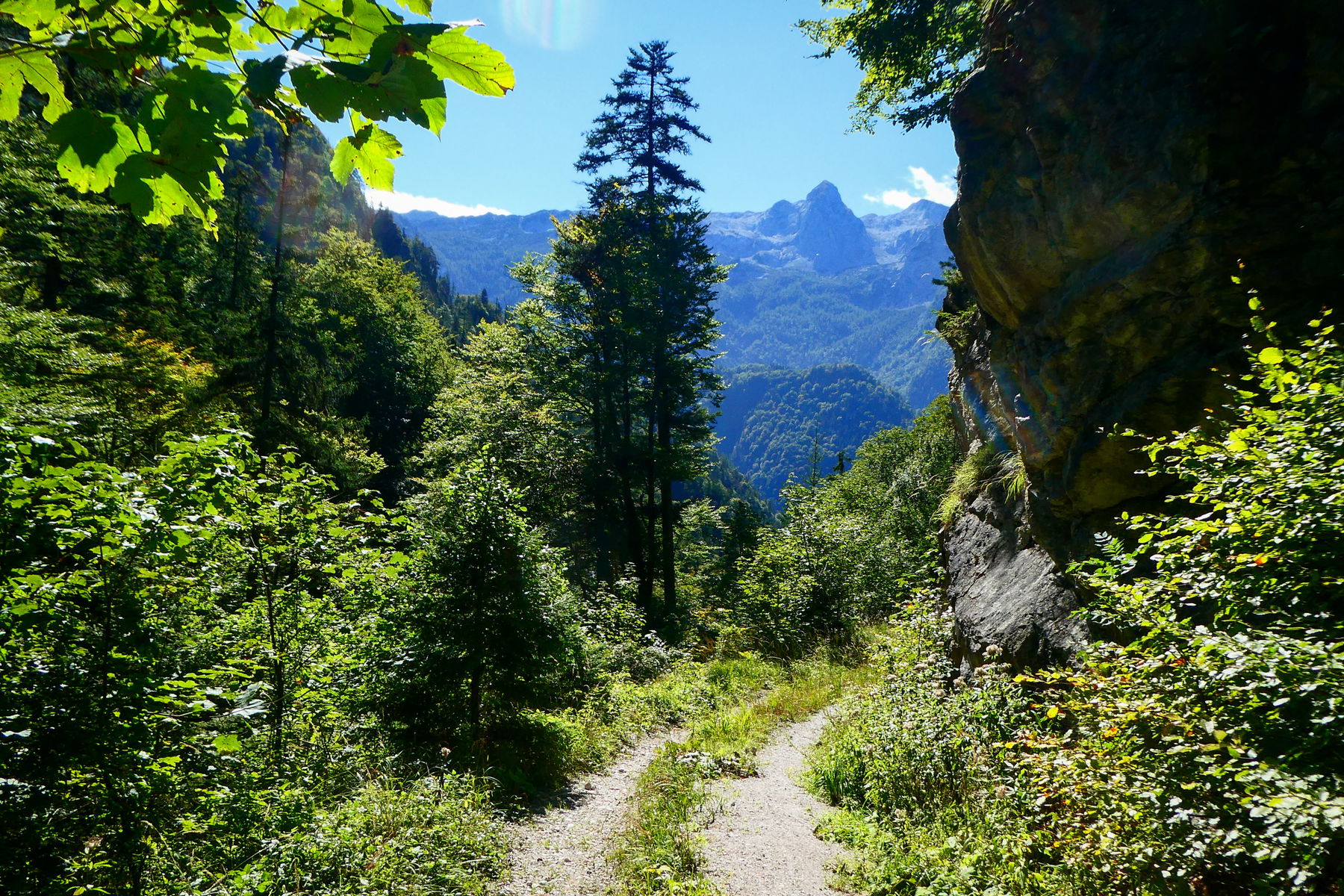 Knallige Blicke – Knallstein; offenbar kaum befahrener Forstweg. Foto: Karl Plohovich