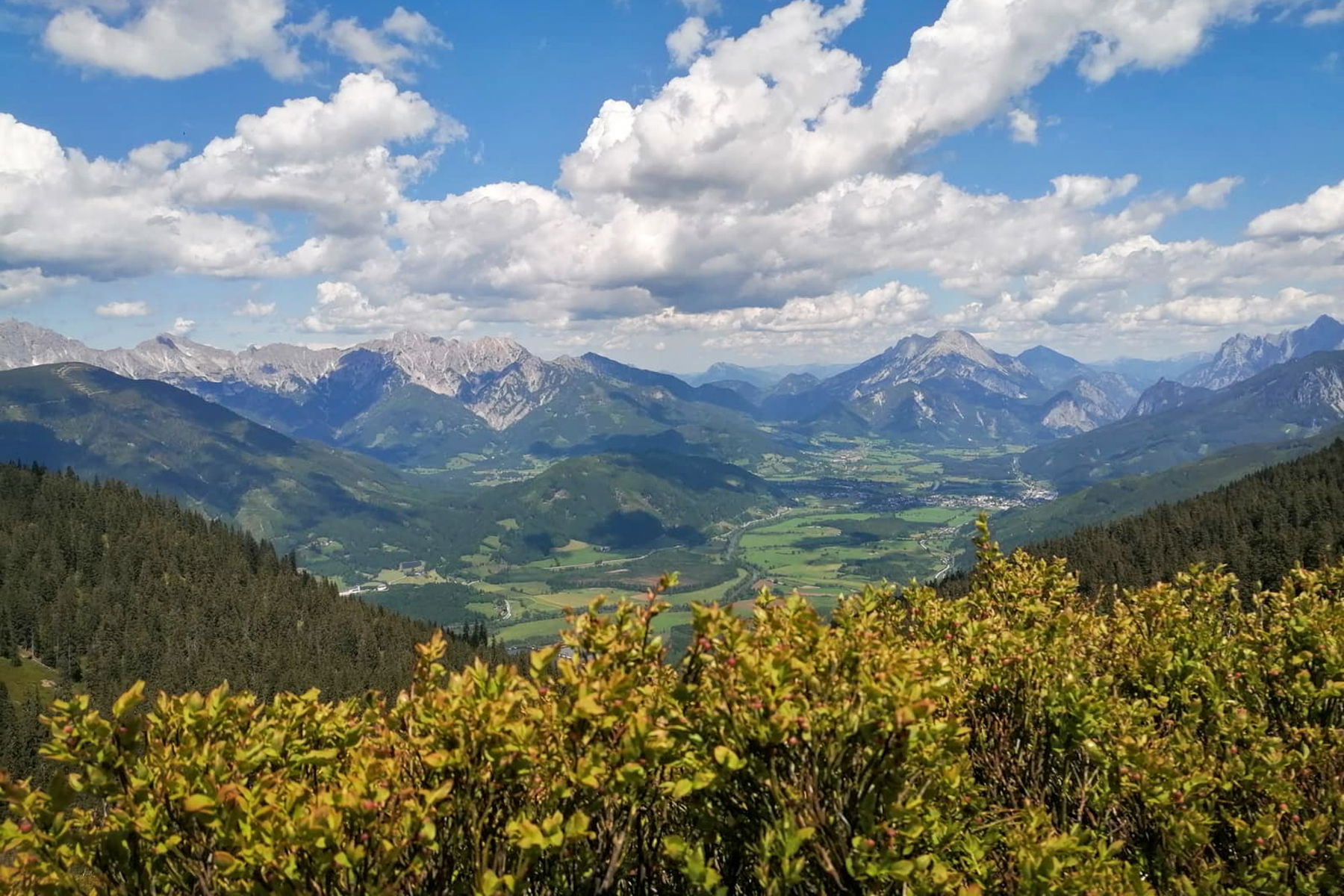 Traumpanorama am Gipfel. Foto: Sarah Pallauf