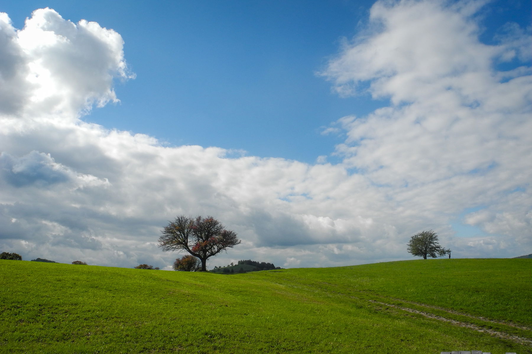 Foto: Barbara Wanzenböck