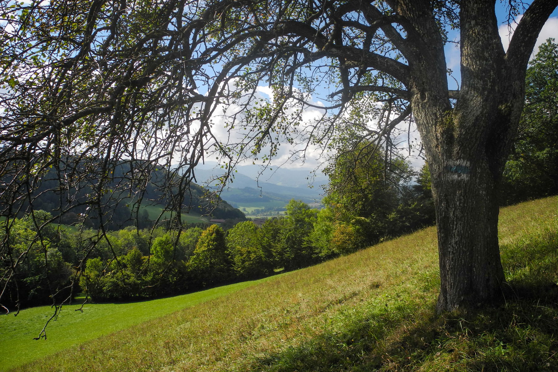 Schönes altes Bauernland. Foto: Barbara Wanzenböck