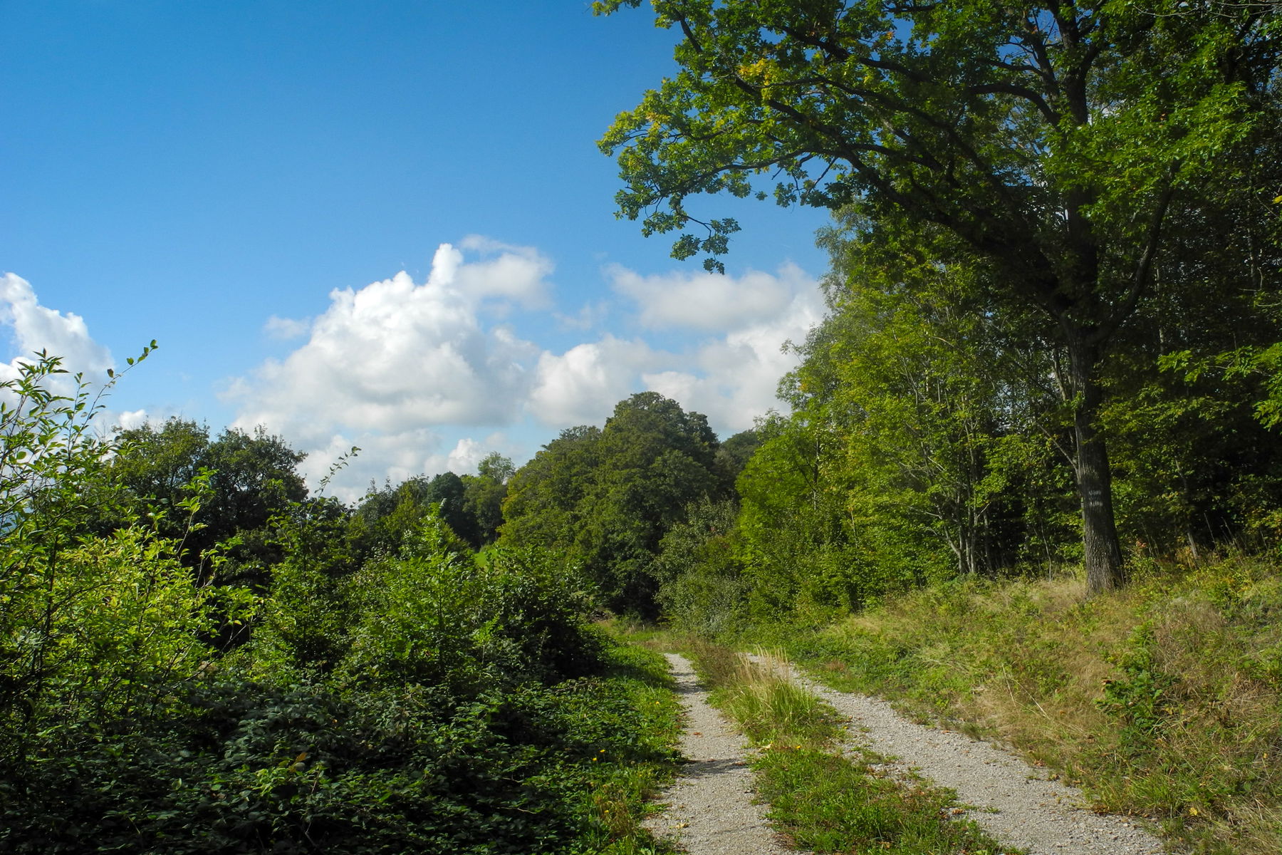 Entspanntes Wandern auf ebenen Wegen. Foto: Barbara Wanzenböck