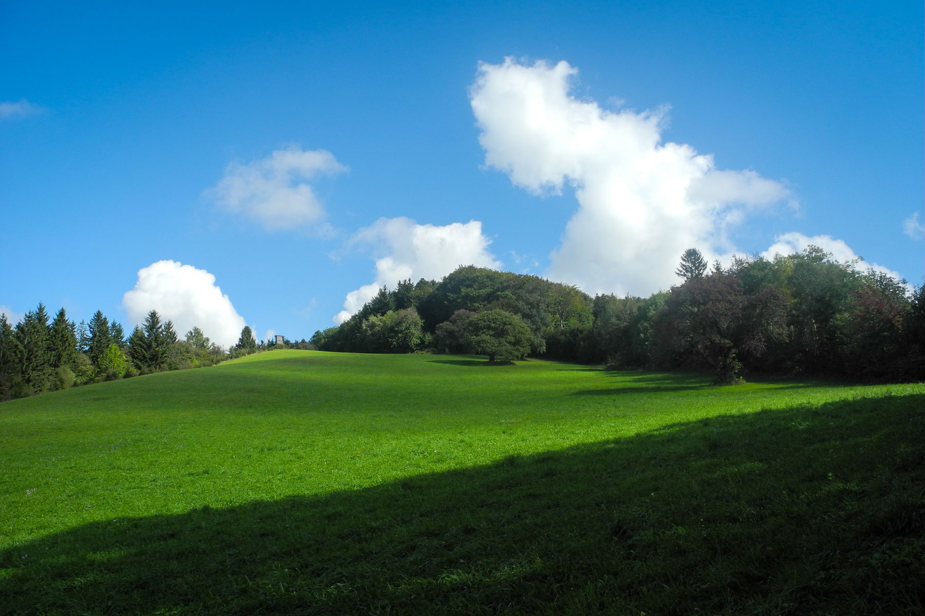 Herrlich klares Herbstlicht. Foto: Barbara Wanzenböck