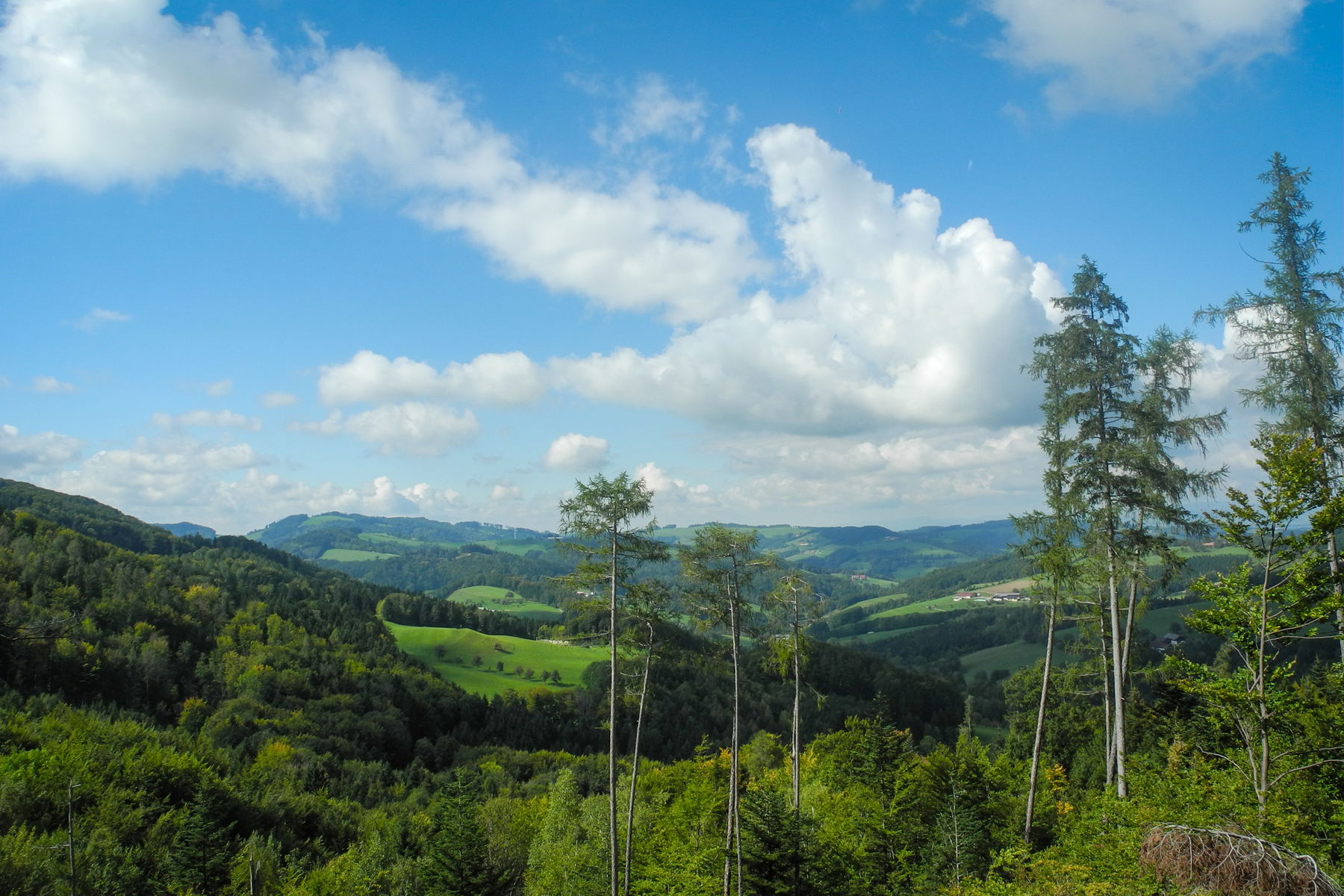 Blick auf die Rolling Hills im Nordwesten. Foto: Barbara Wanzenböck