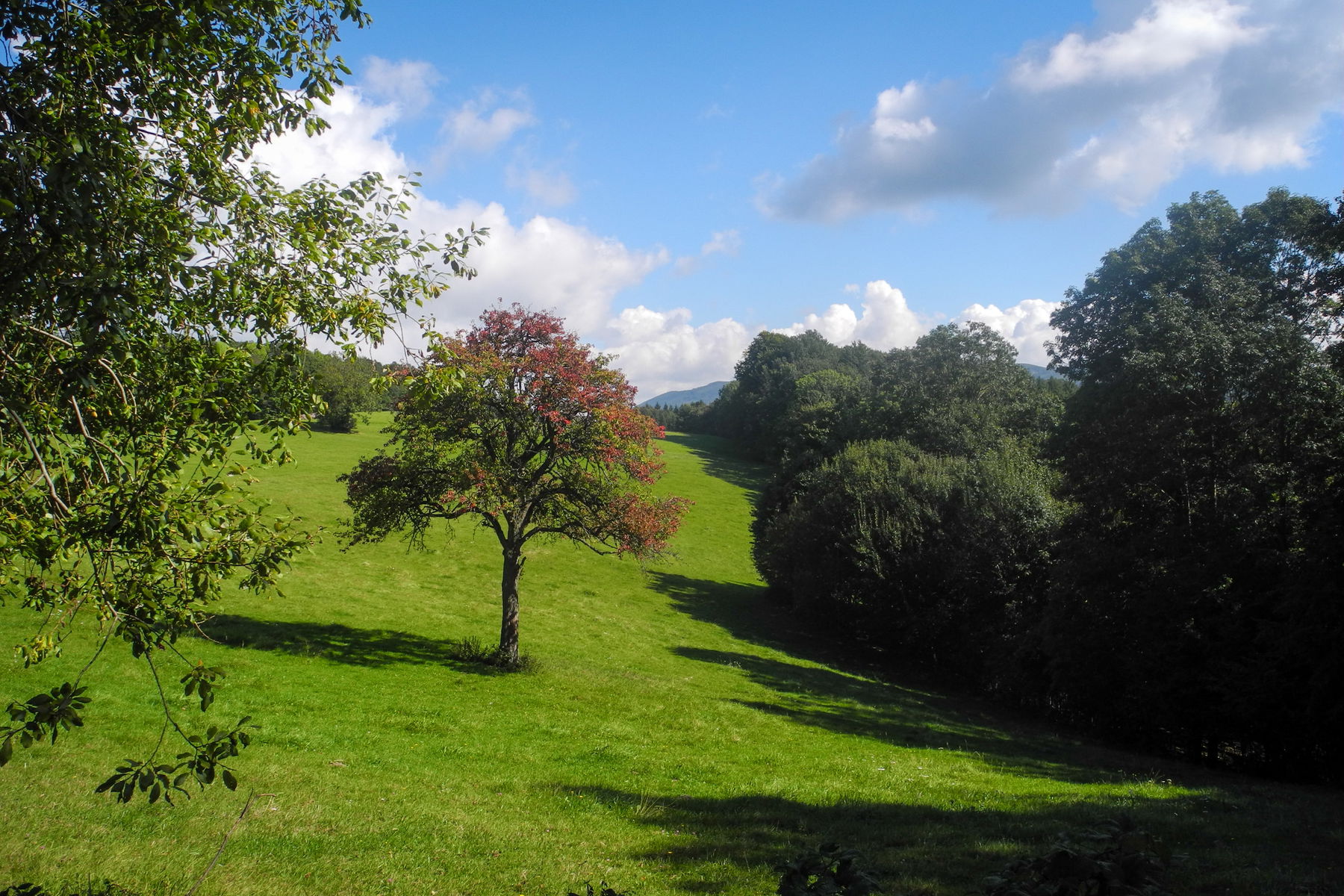 Der Herbst lässt die Farben explodieren. Foto: Barbara Wanzenböck