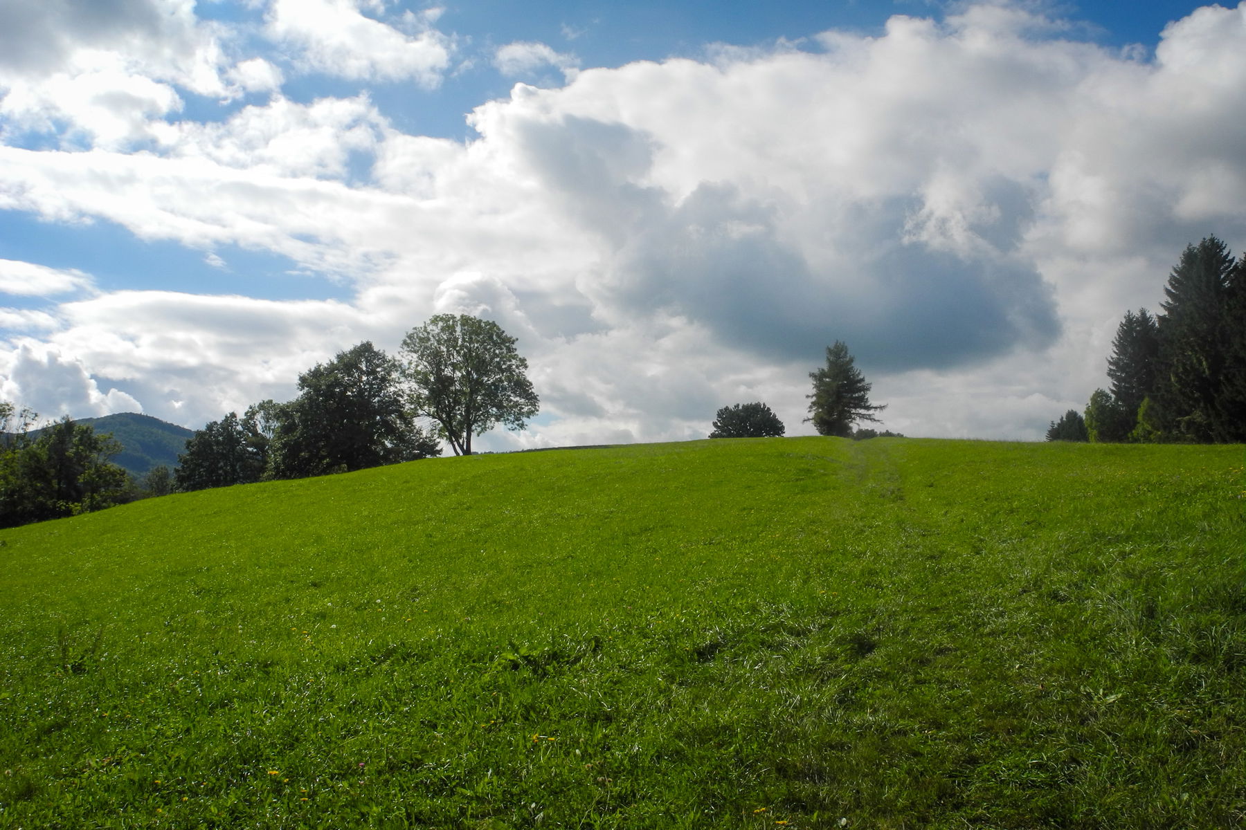 Der Hügelrücken bei Stollberg. Foto: Barbara Wanzenböck
