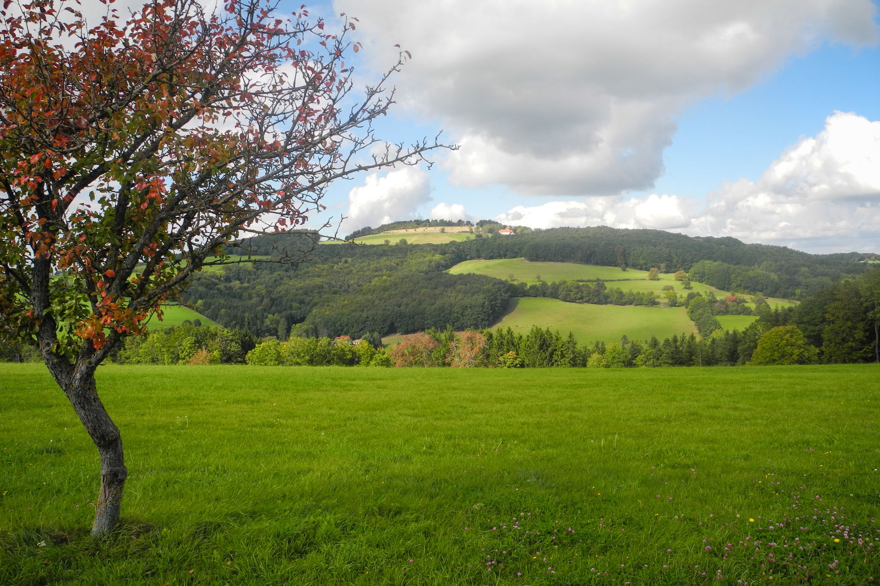 Blick vom „Eck“ Richtung Norden. Foto: Barbara Wanzenböck
