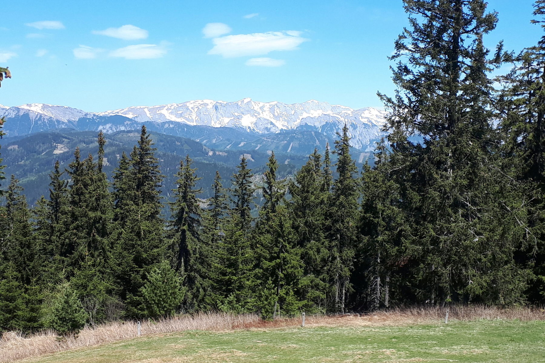Blick zum Hochschwab. Foto: Gerold Petritsch