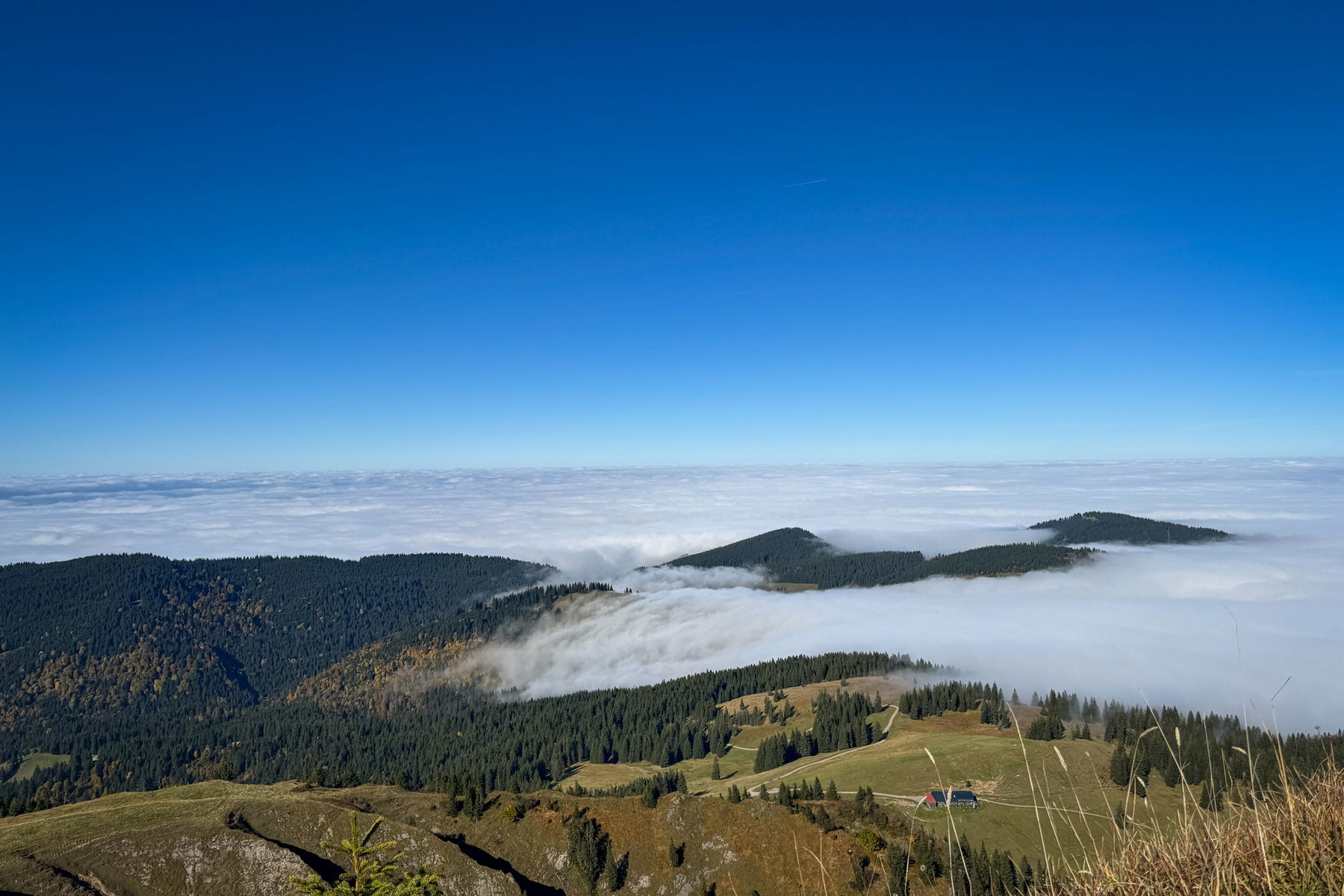 Blick vom Stuiben in alle Richtungen. Fotos: Bernhard Walle