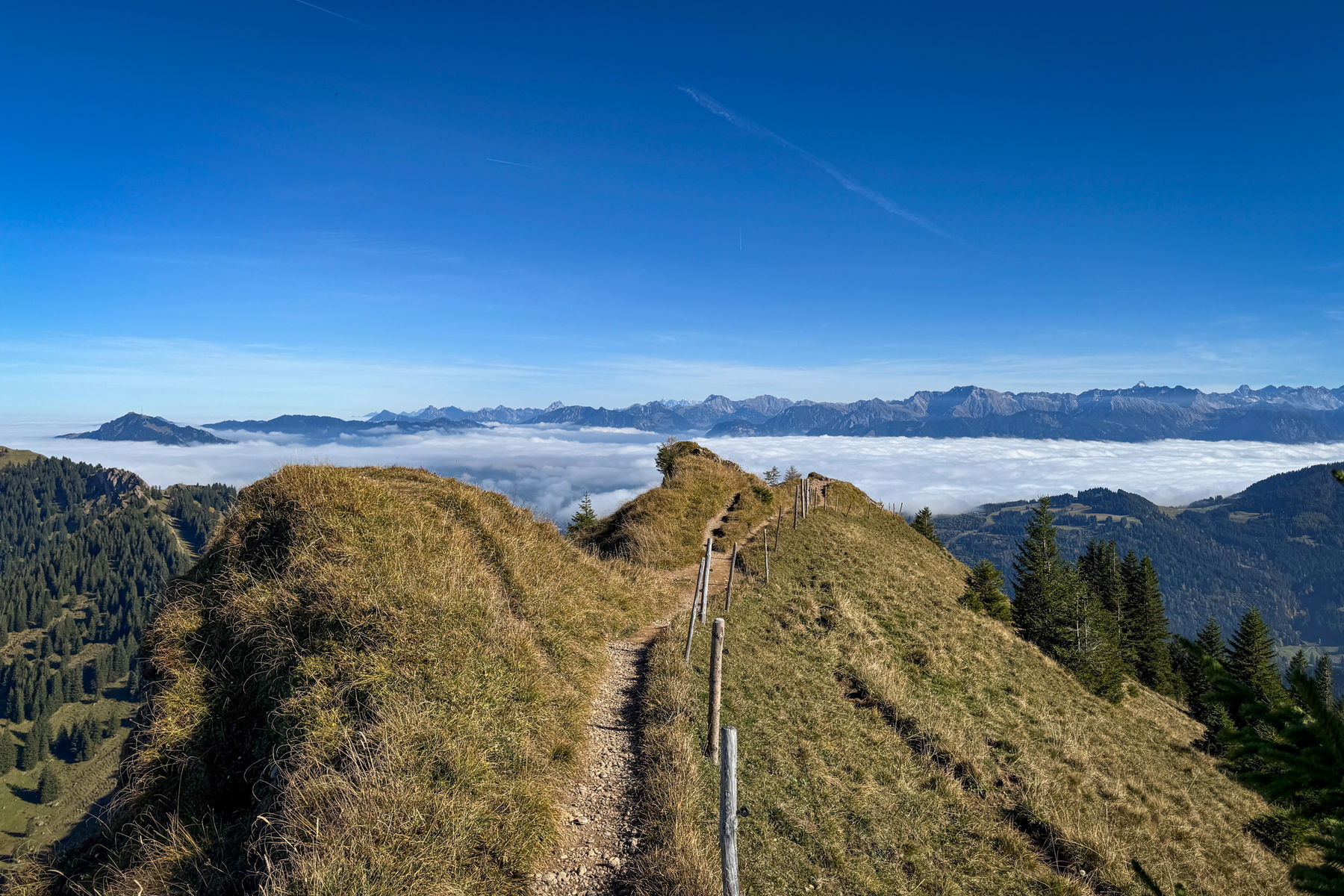 Blick vom Stuiben in alle Richtungen. Fotos: Bernhard Walle