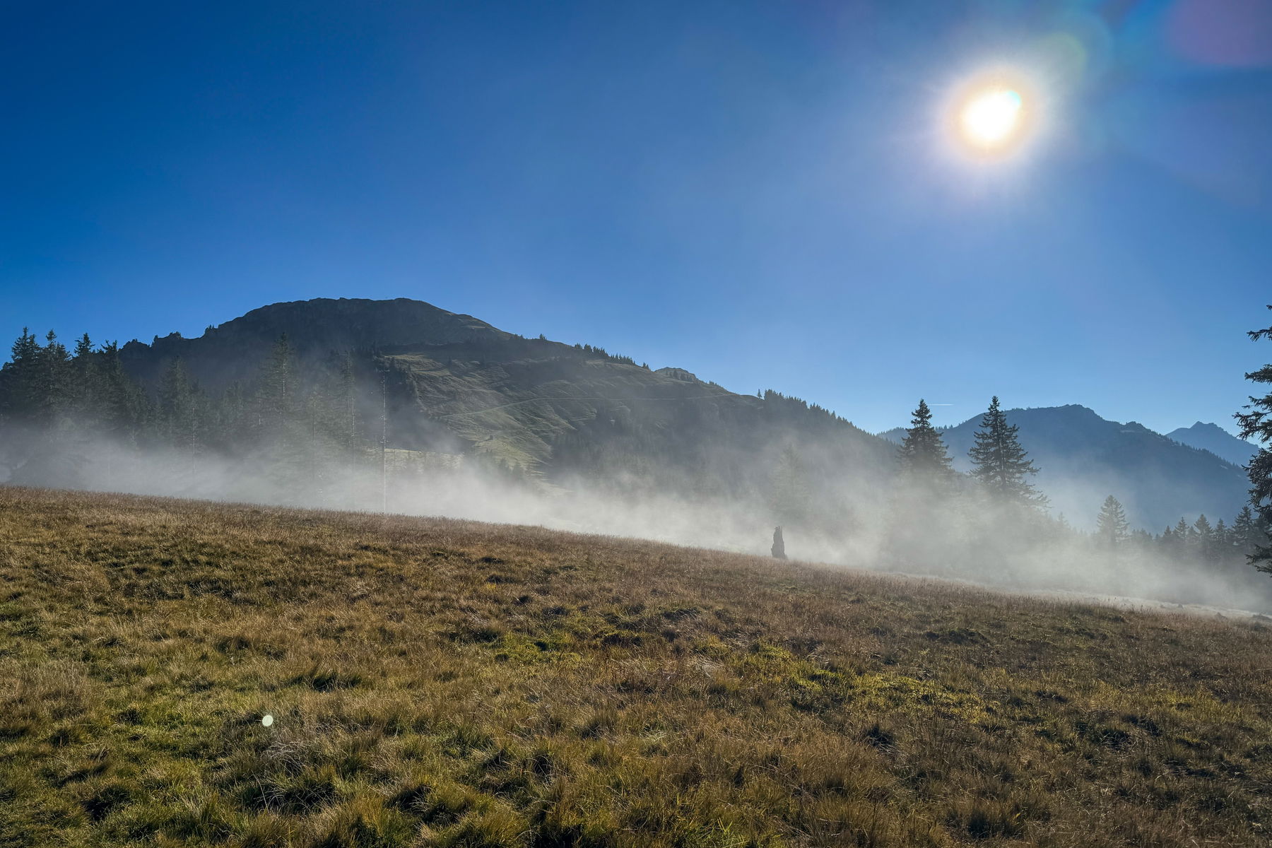 Blick zurück auf den Berg. Foto: Bernhard Walle