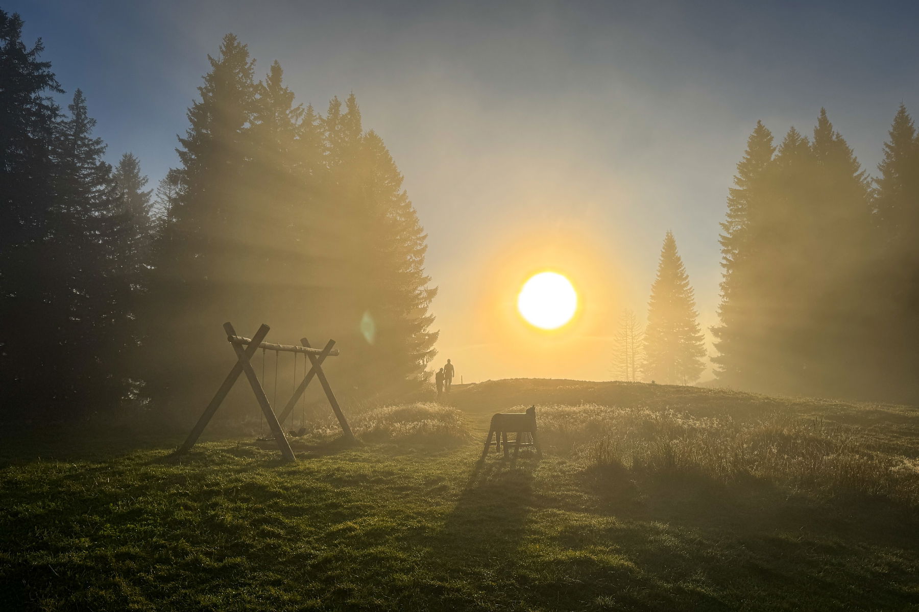 Sonne im Nebel. Foto: Bernhard Walle