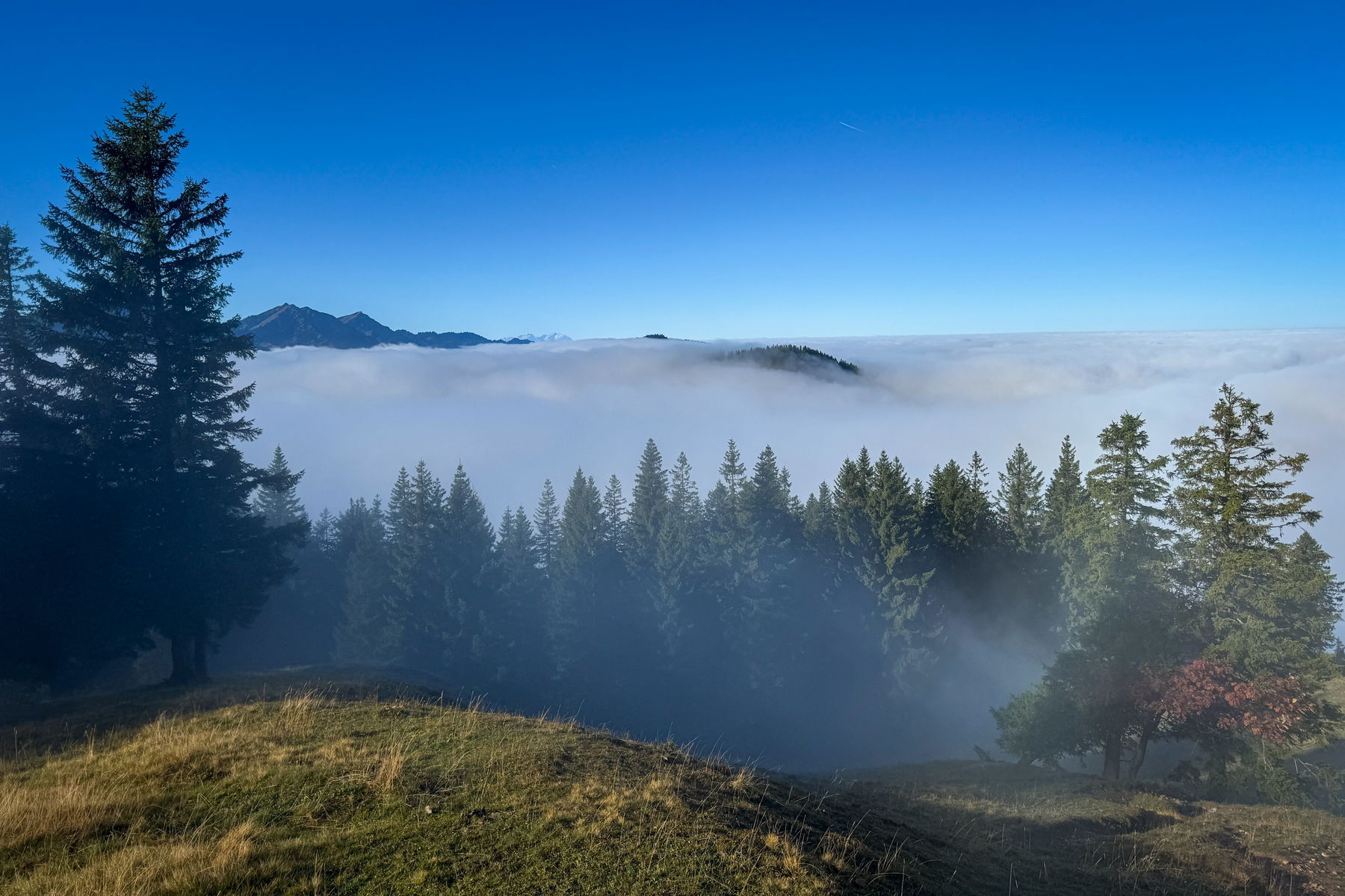 Gipfel auf der anderen Seite ragen aus den Wolken. Foto: Bernhard Walle