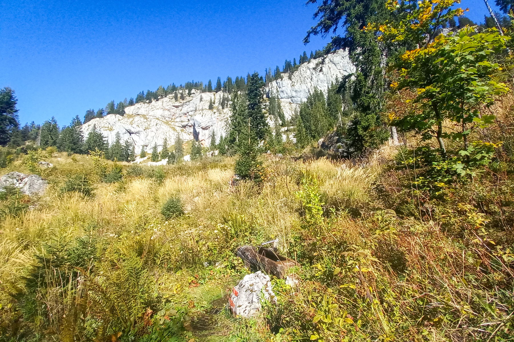 Kaltes Bründl mit Rötelstein-Südwand. Foto: Martina Friesenbichler