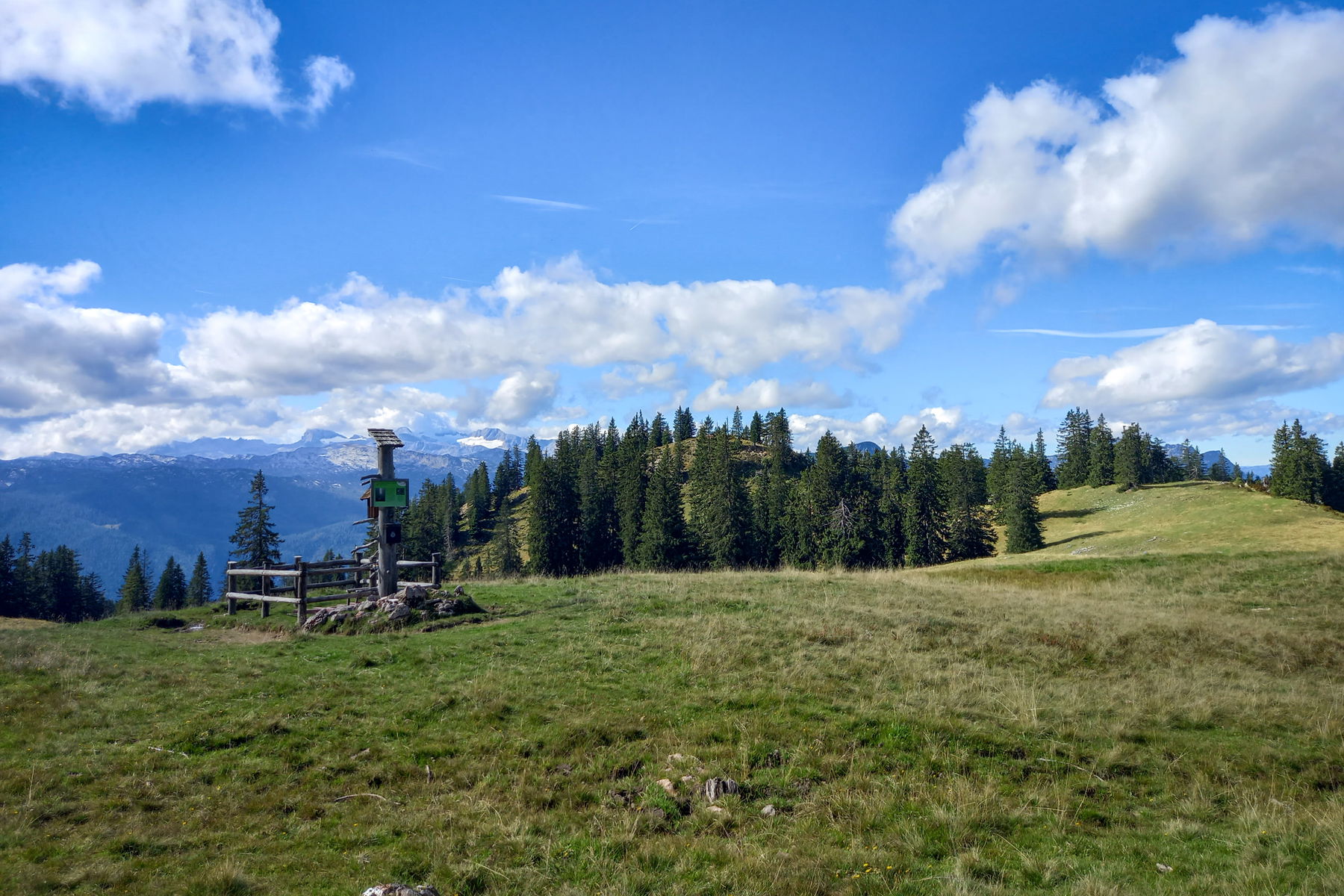 Jesunamen Foto: Martina Friesenbichler