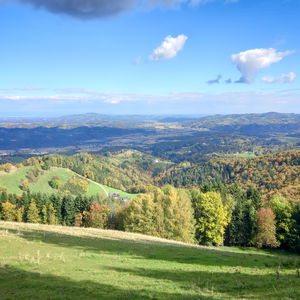 Bike and Hike zur Altenbachklamm: Unterwegs zwischen Wein, Wald und Wasser