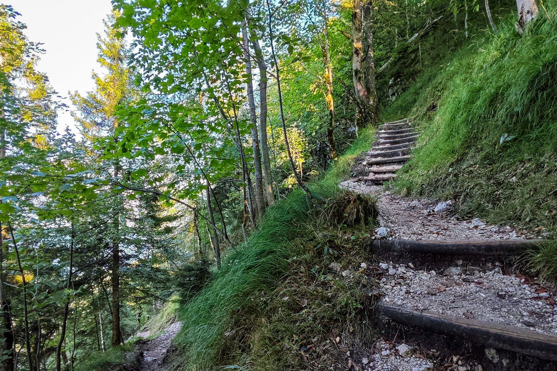Aufstieg zur Eisenauer Alm. Foto: Lisa Nussdorfer