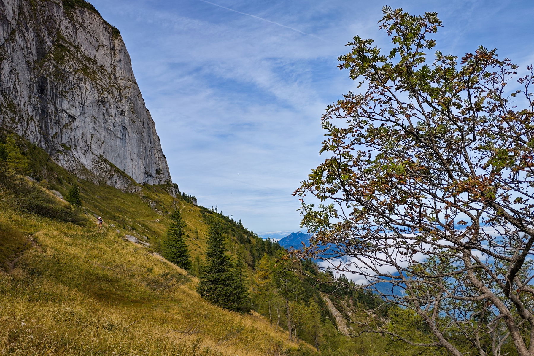 Der Weg führt unterhalb der Wand entlang. Foto: Lisa Nussdorfer