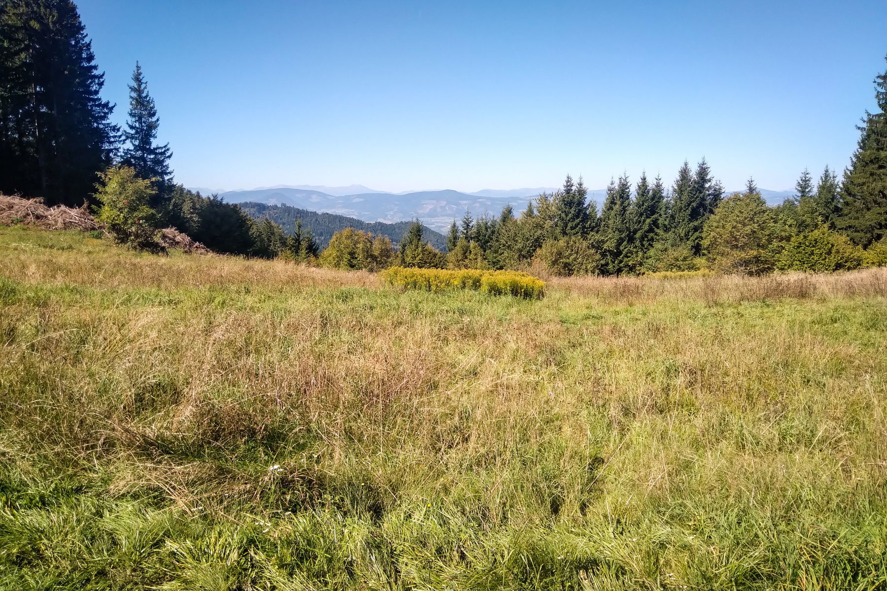 Von St. Filippen über den Apetschnigkogel nach Launsdorf