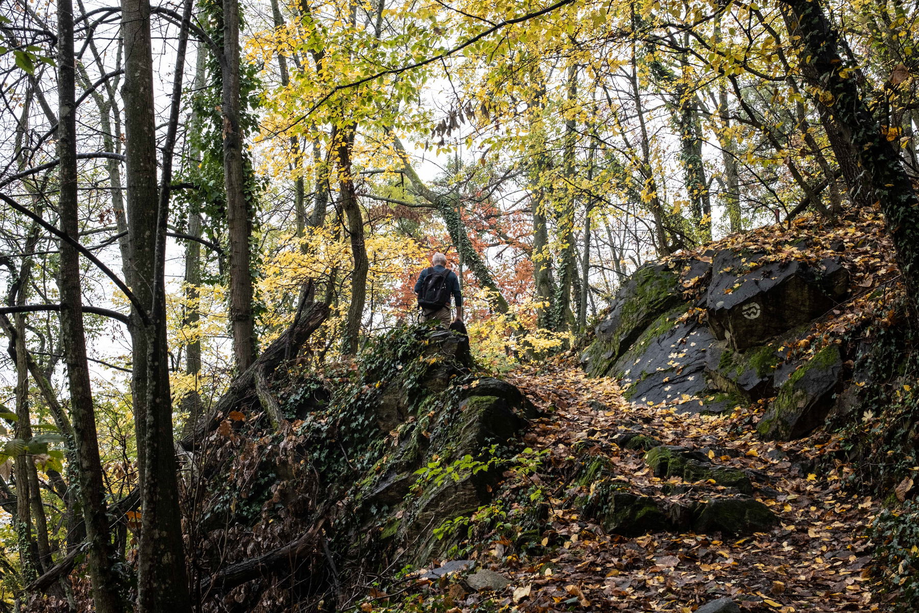 Einfacher Steig auf den Göttweiger Berg. Foto: Birgit Reiter