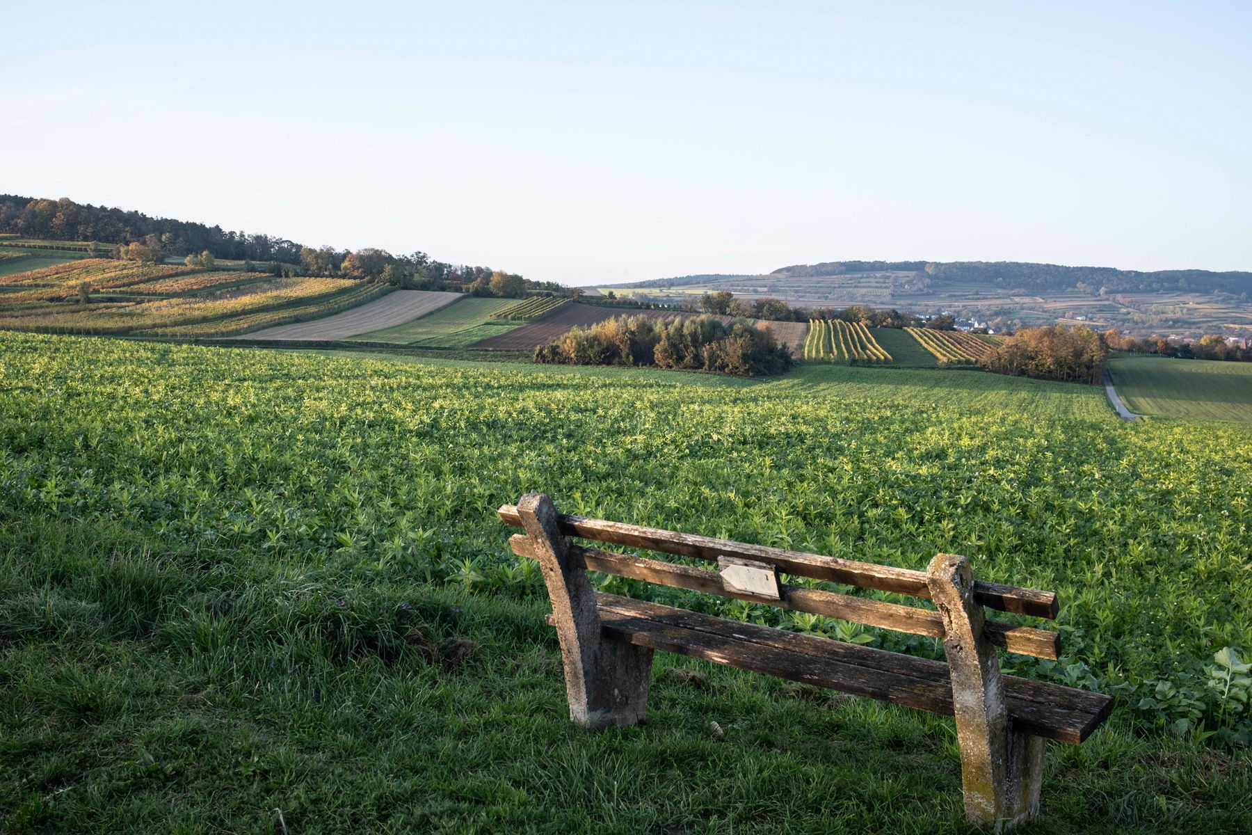 Bankerl mit Aussicht. Foto: Birgit Reiter