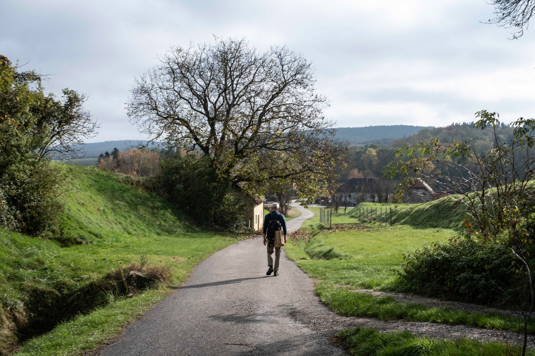 Jakobsweg bei Eggendorf. Foto: Birgit Reiter