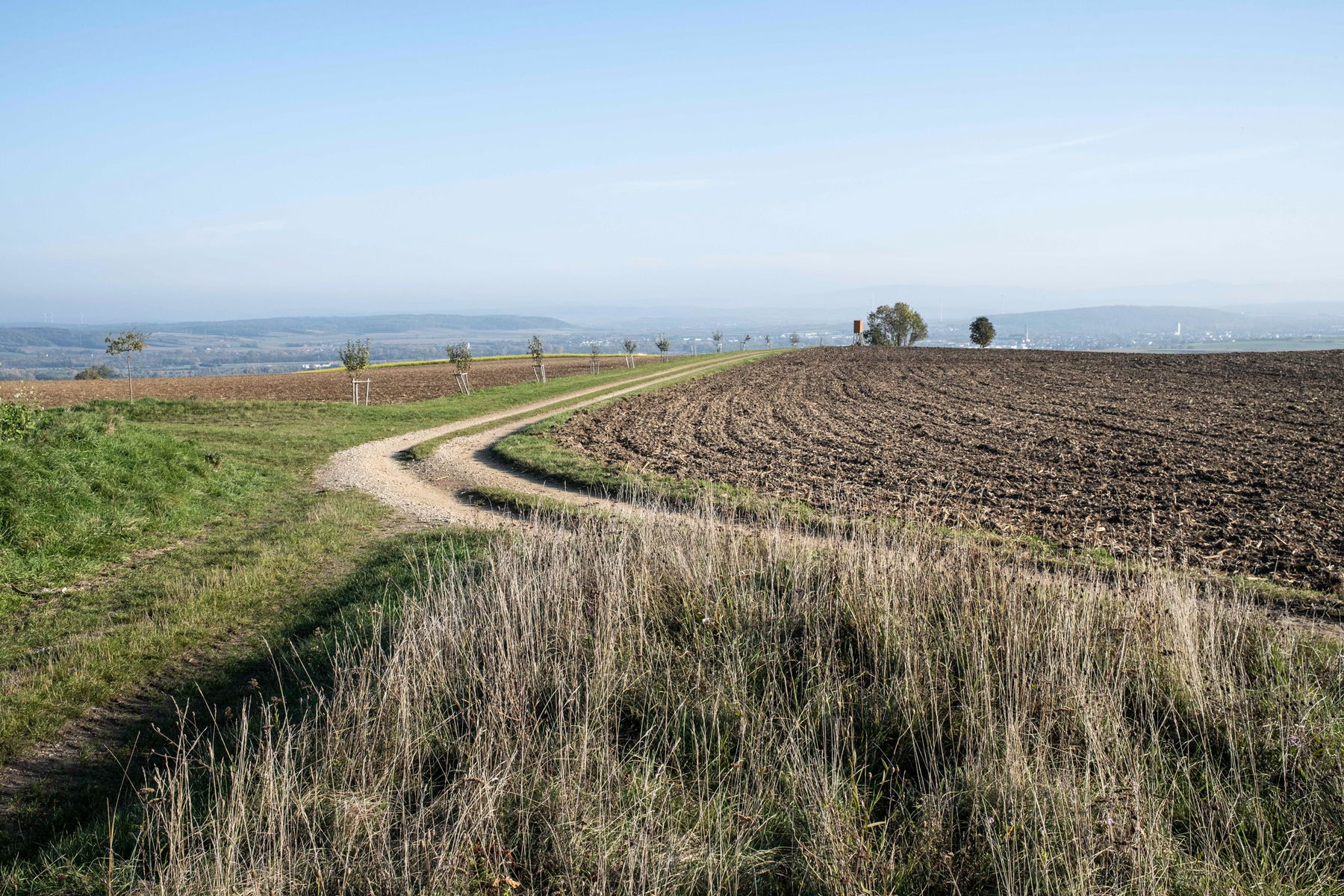 Herzogenburg kommt näher; Kellergasse in Inzersdorf ob der Traisen. Fotos: Birgit Reiter