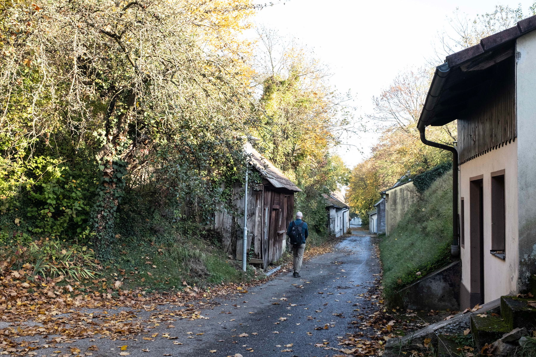 Herzogenburg kommt näher; Kellergasse in Inzersdorf ob der Traisen. Fotos: Birgit Reiter