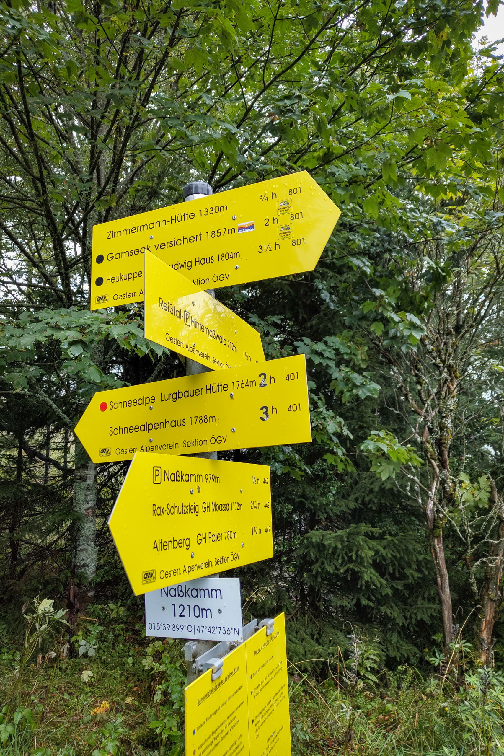 Schilderbaum am Naßkamm; Ein Fliegenpilz leuchtet am Wegesrand. Fotos: Simon Widy