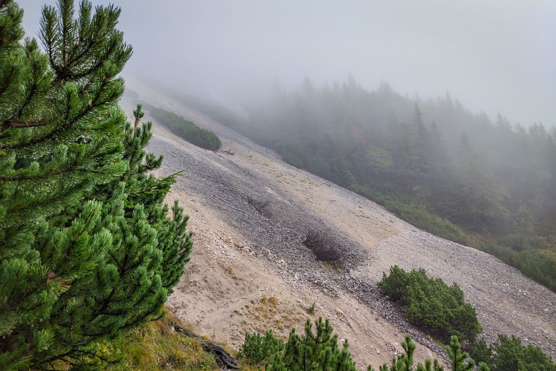 Gamseckerhütte; Reisenquerung nach dem Gupfsattel. Fotos: Simon Widy