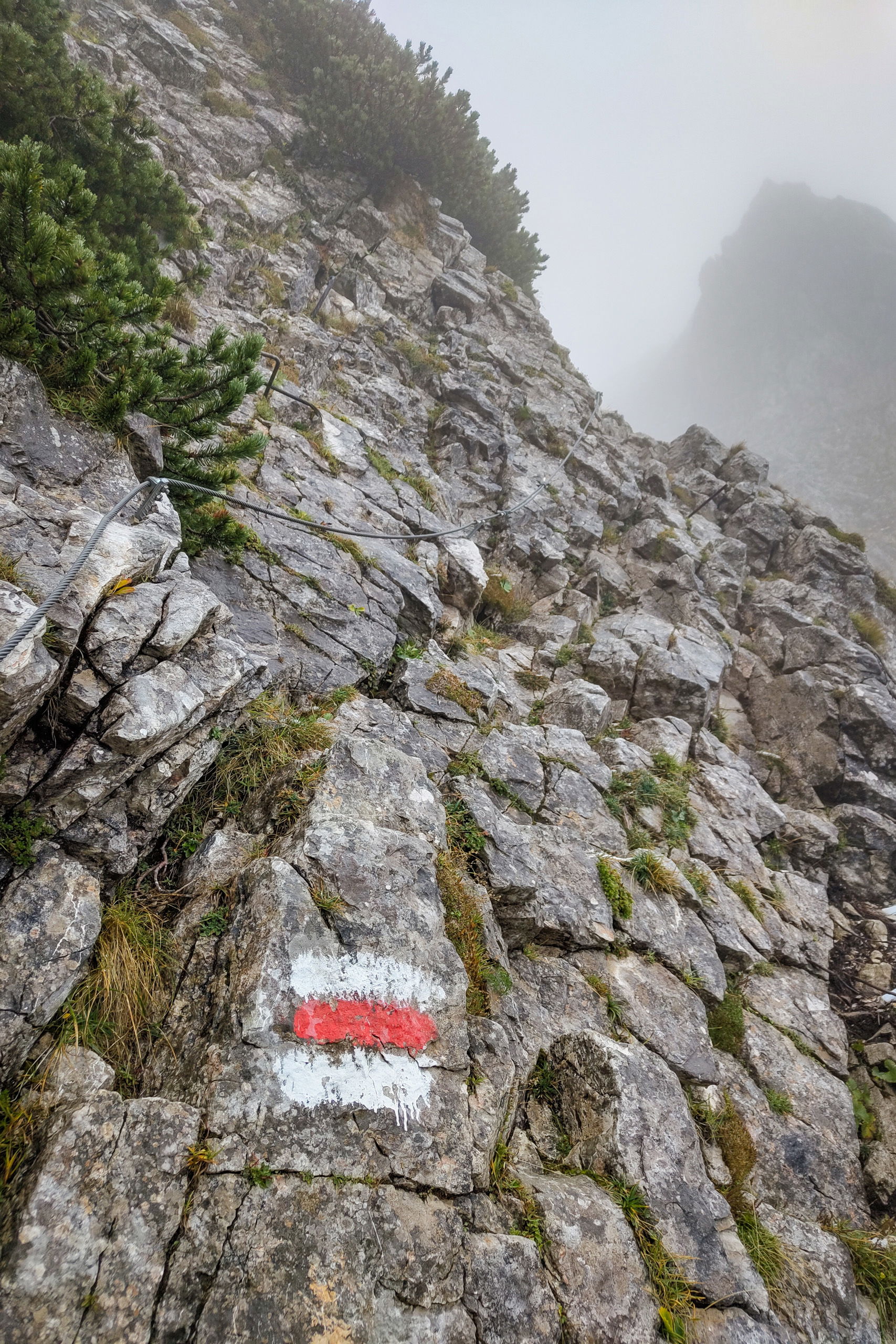 Versicherte Stellen am zahmen Gamseck. Fotos: Simon Widy