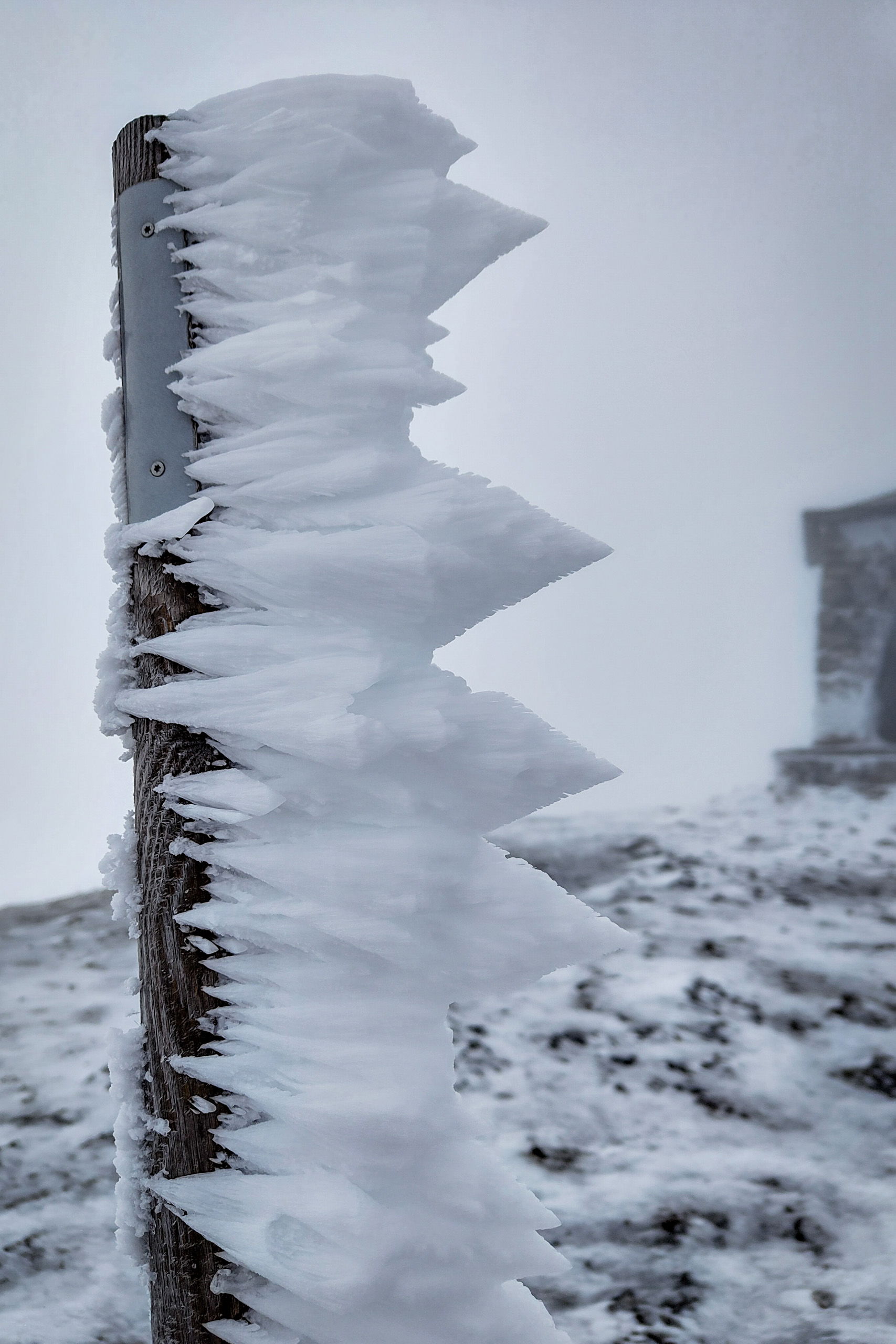 Kurz blinzelt die Sonne hinter den Wolken hervor; der Anraum zeugt von hohen Windgeschwindigkeiten. Fotos: Simon Widy