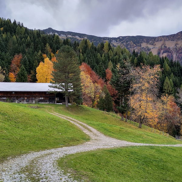 Hidden Pearls I: Die Davidrunde (Bike and Hike zur Oberhellweng- und Ascheralm)