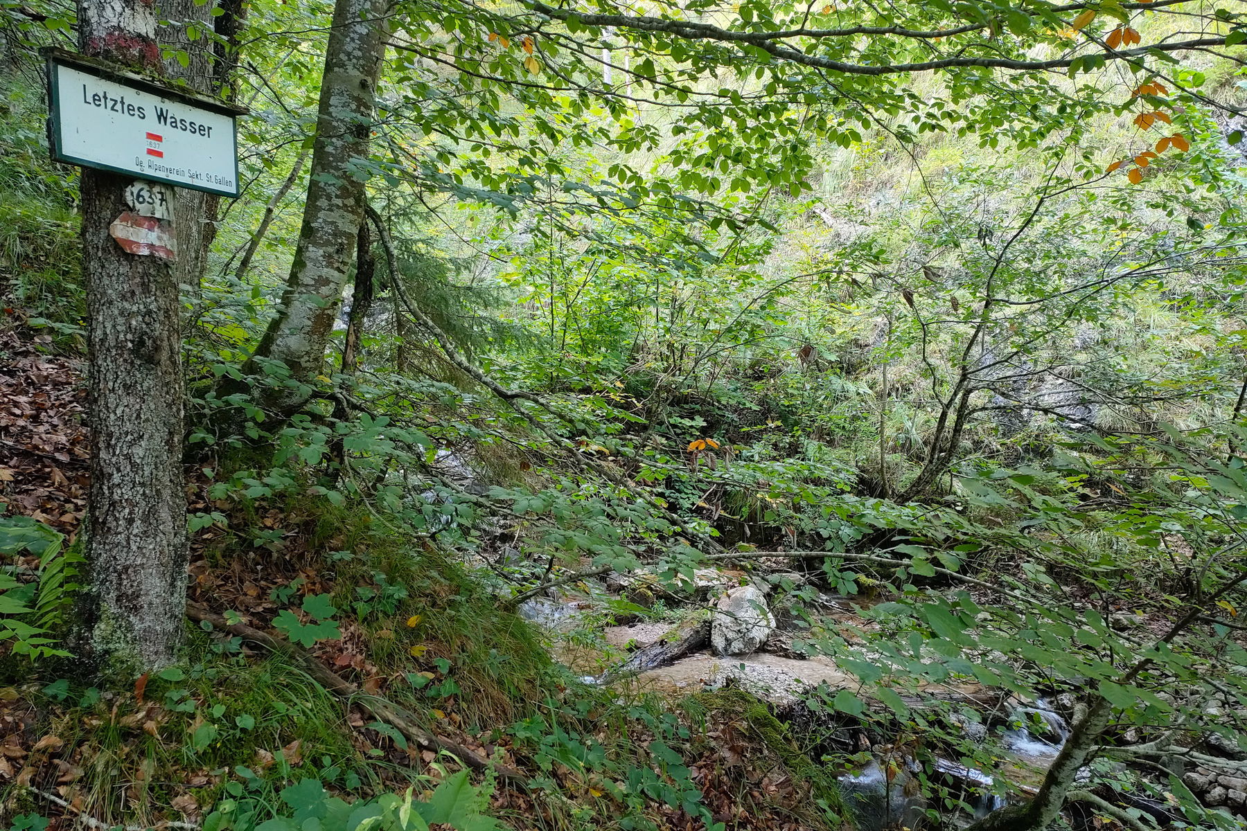 Hummeln laben sich am Gefransten Enzian, der Wanderer labt sich am „Letzten Wasser“. Fotos: Manfred Hinteregger