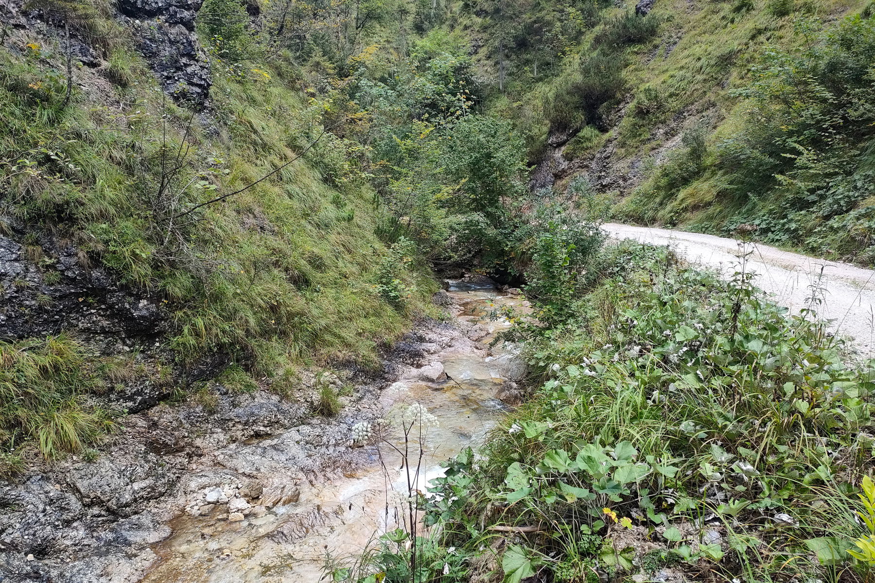 Im „Ötschergraben für Arme“ – die Spitzenbachklamm. Fotos: Manfred Hinteregger