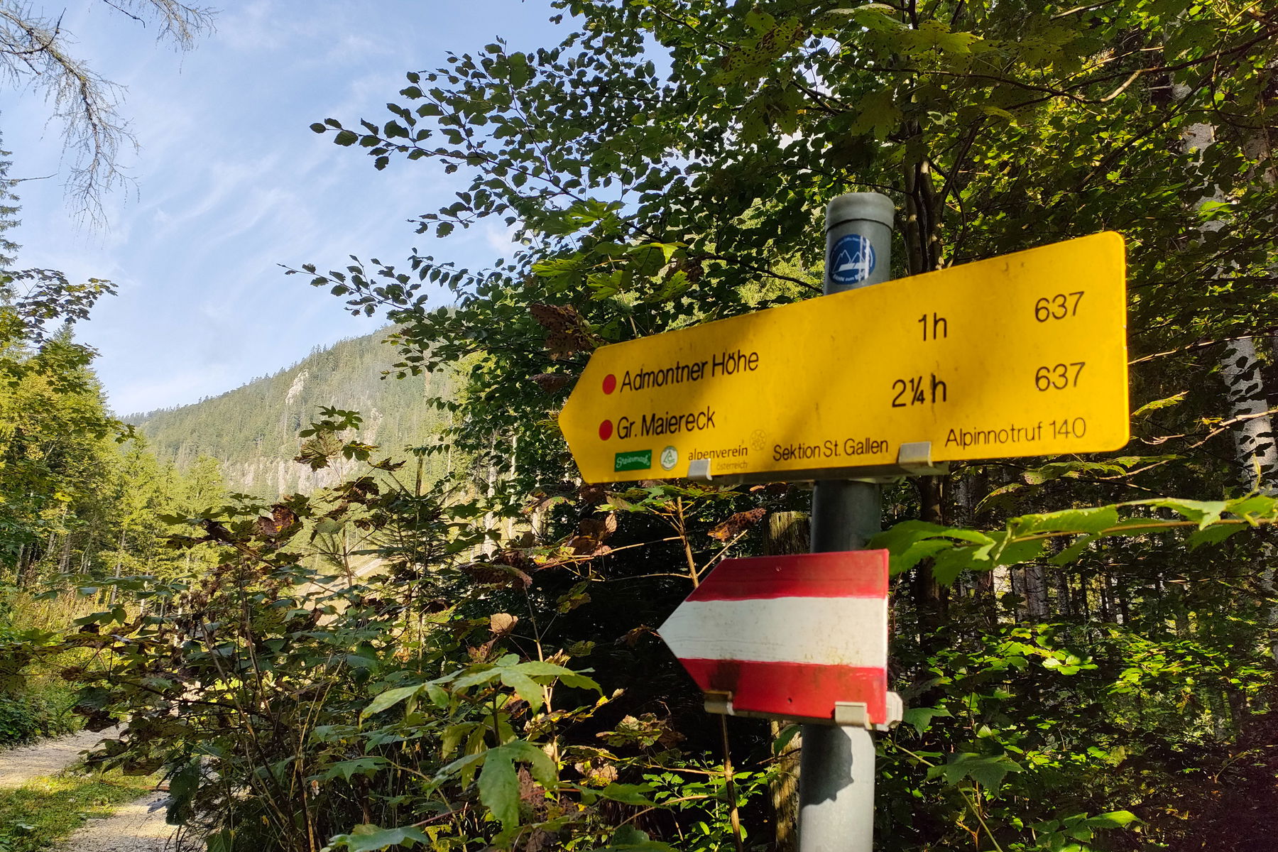 Ob hier ein n zuviel ist, ist wohl einerlei – zur Höhe geht es rauf… Foto: Manfred Hinteregger